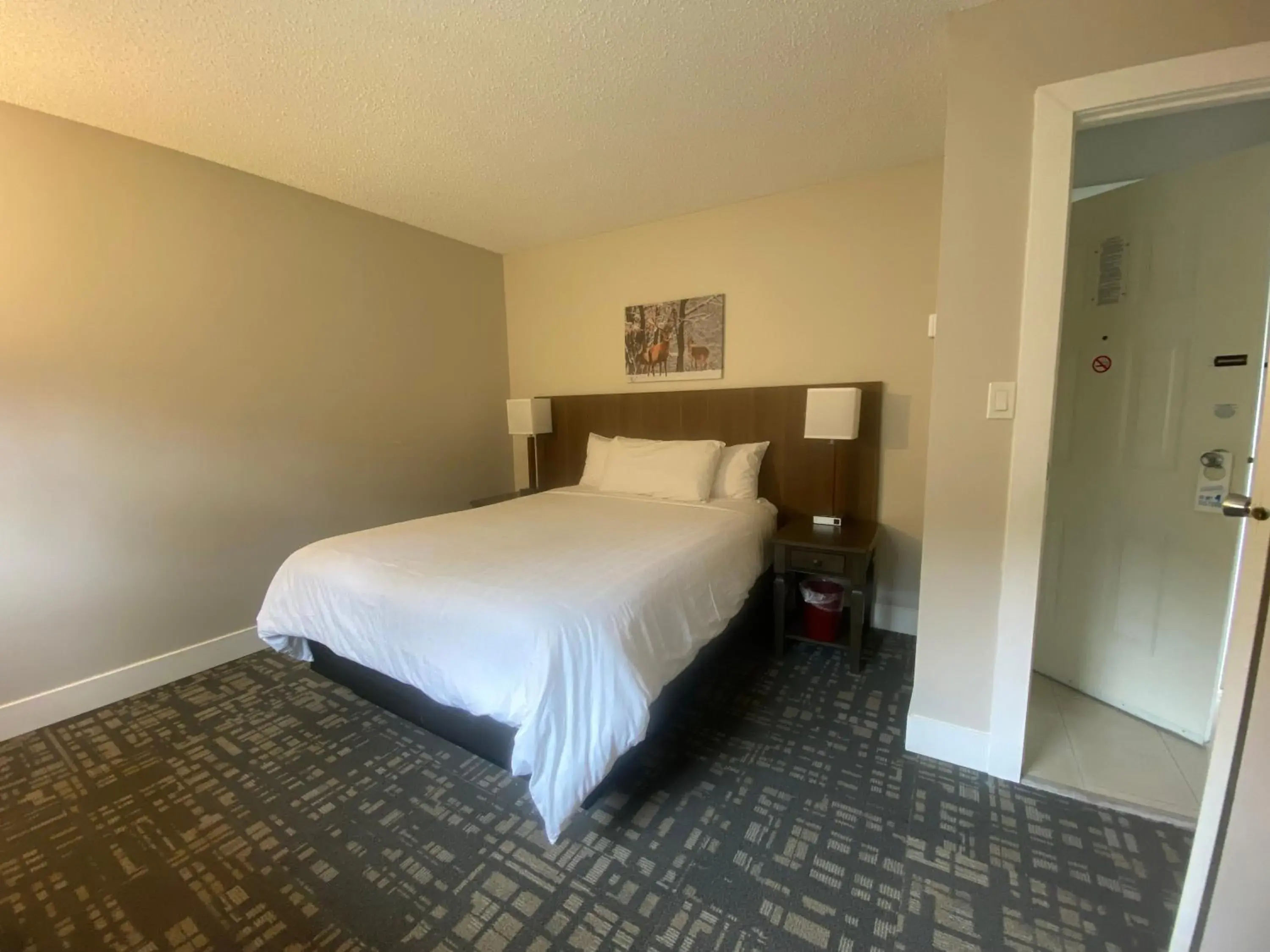 Family Suite - single occupancy in High Point Resort Family Suite - single occupancy in High Point Resort