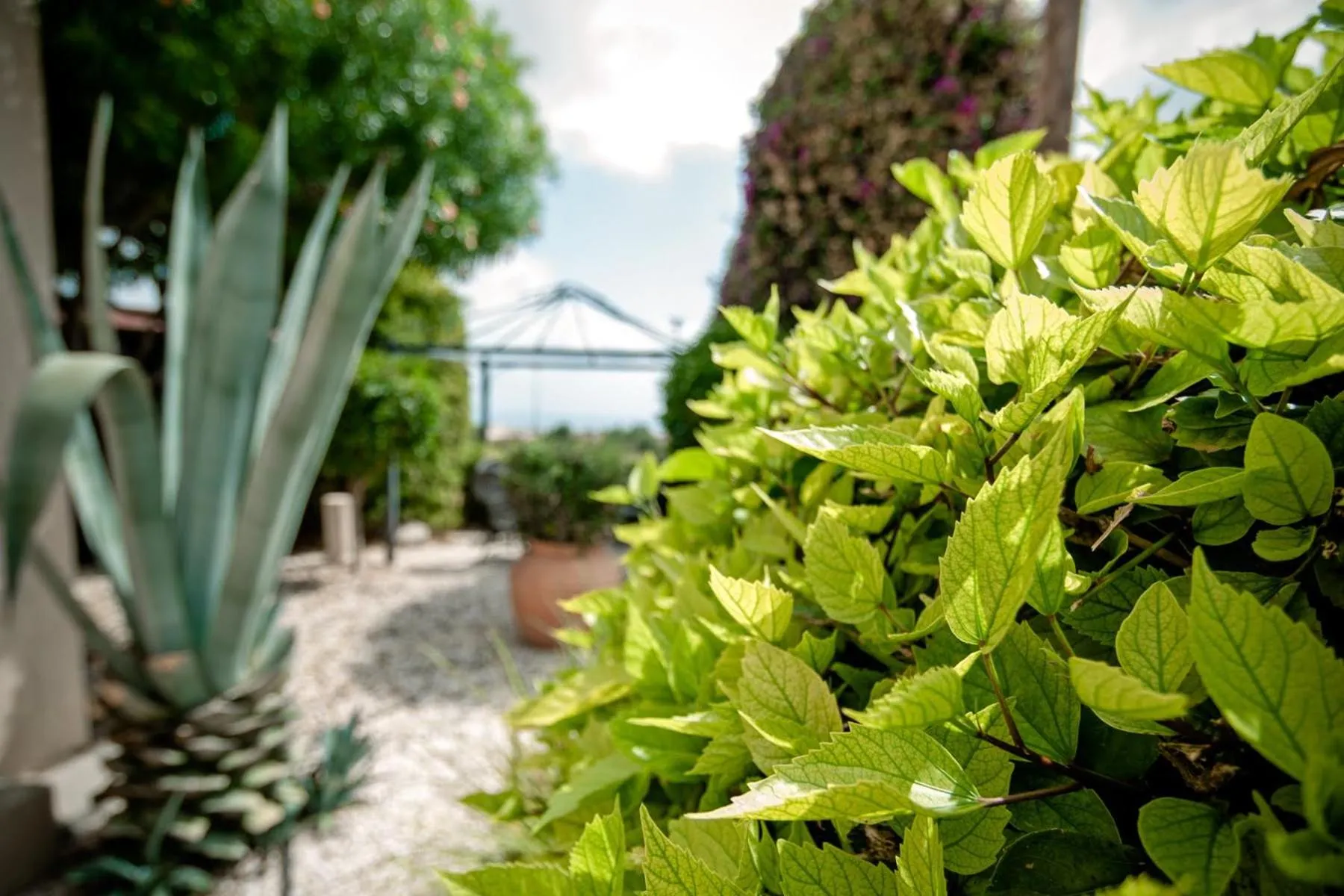 Patio in Villa Puccini: Luxury villa with private pool