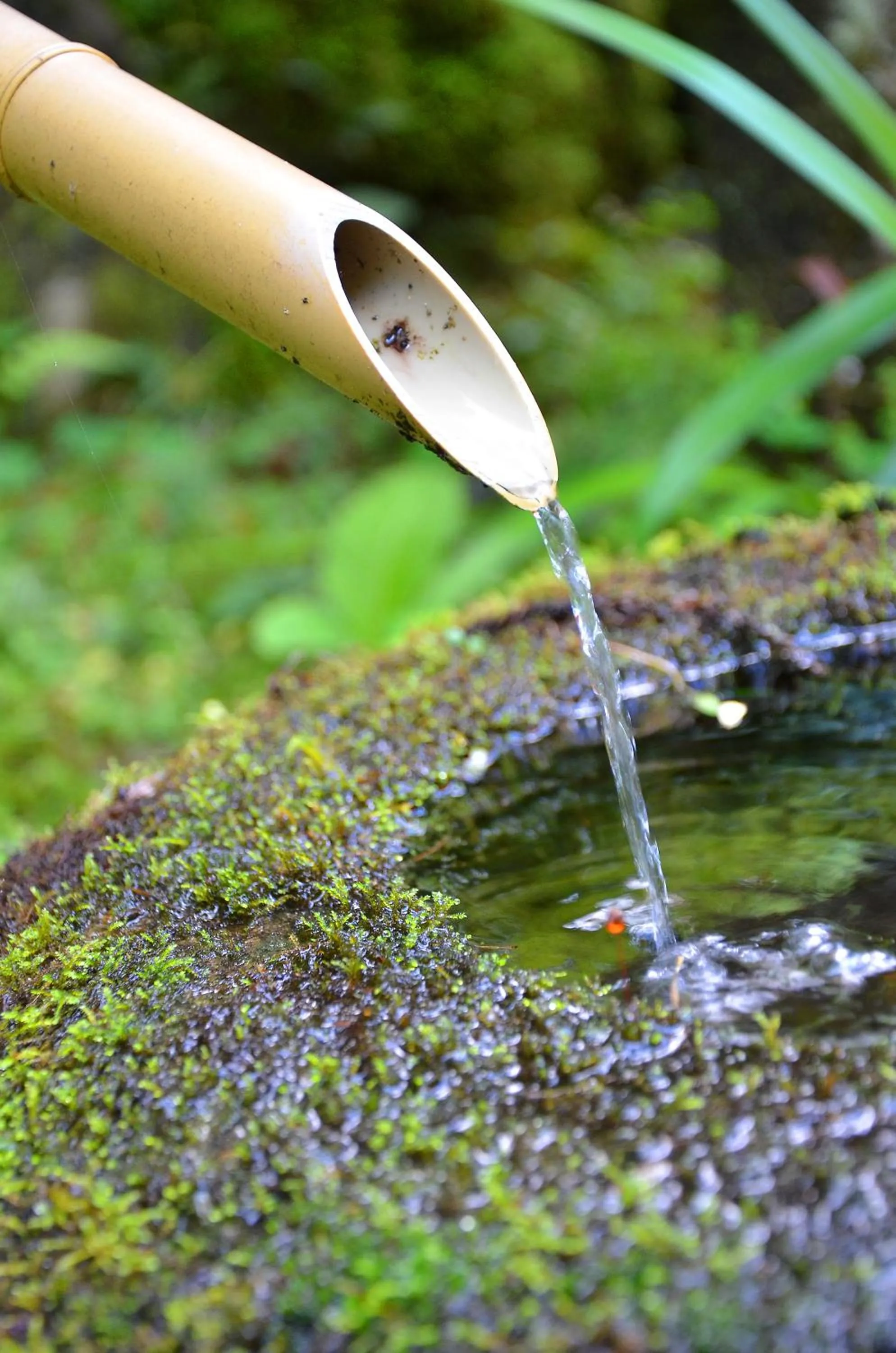 Decorative detail in Takao Kanko Hotel