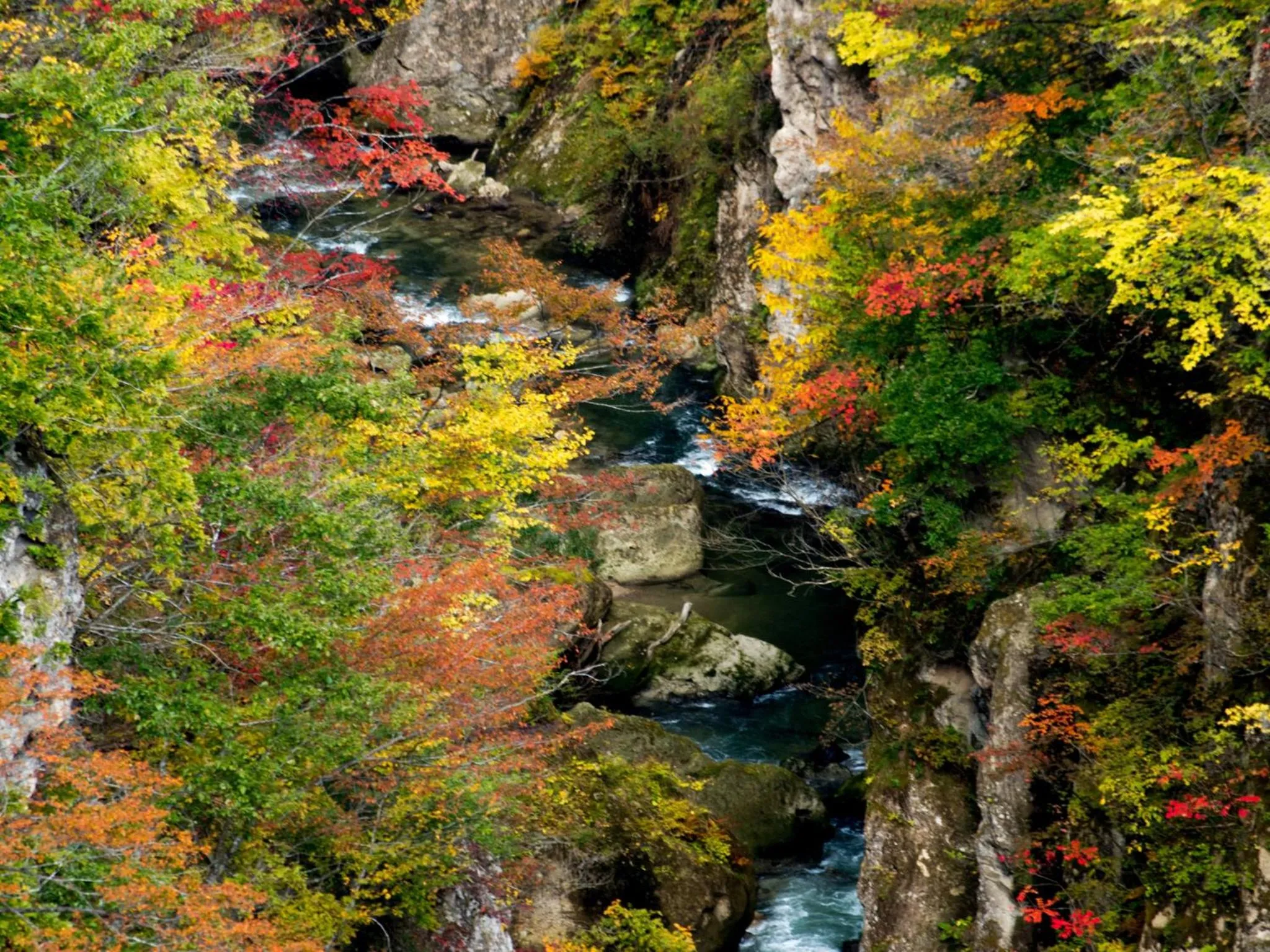 Nearby landmark in Hotel Kameya