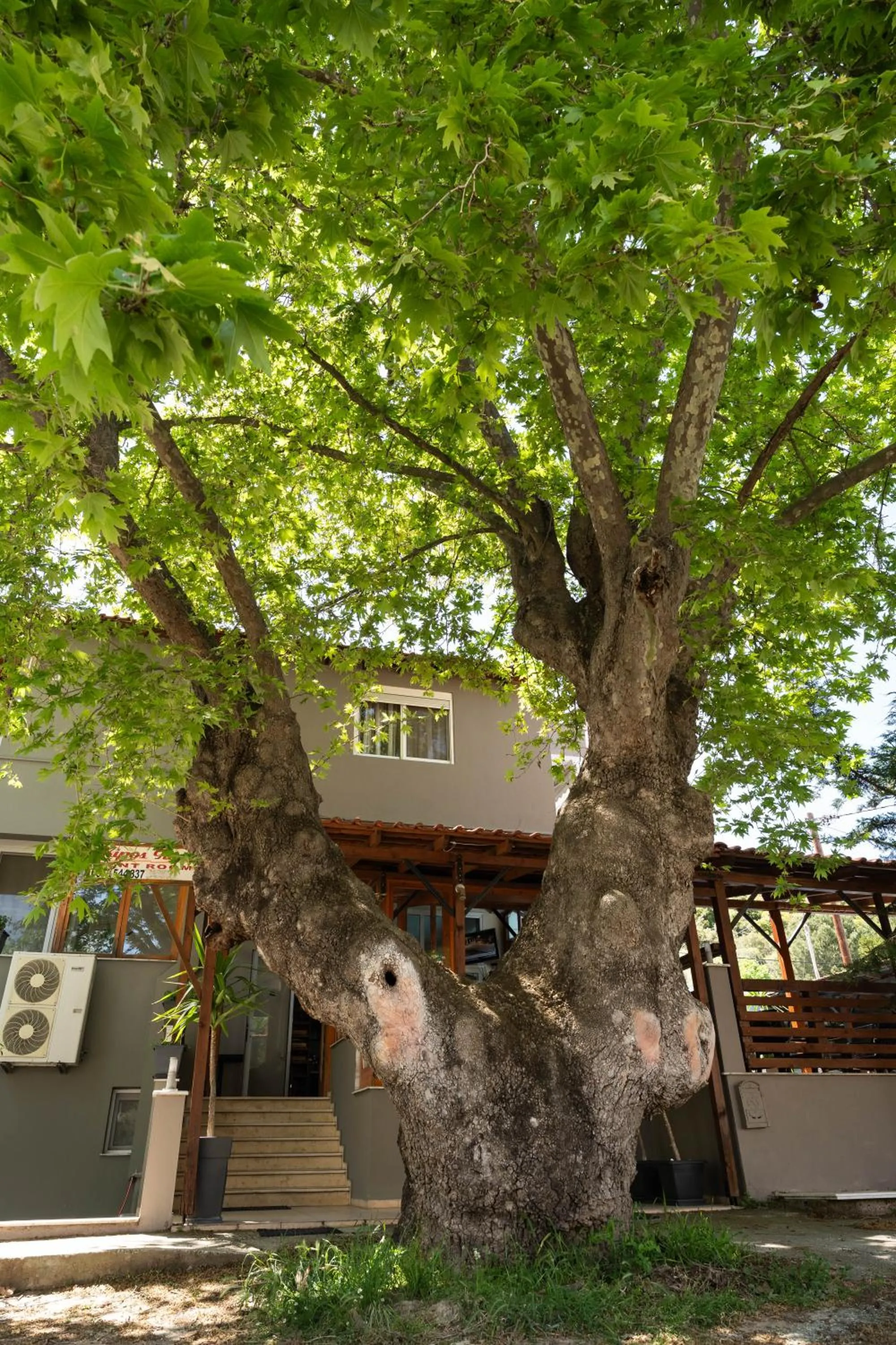 Property building in Kipos Resort