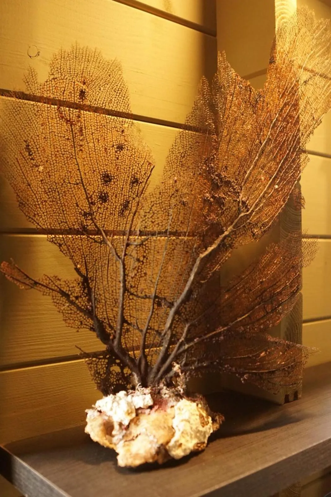 Decorative detail in Bonaire Boutique Resort