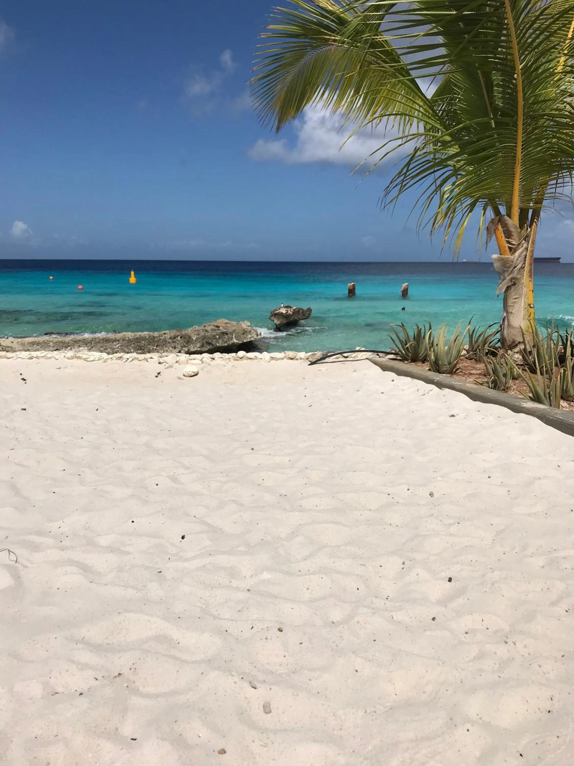 Beach in Bonaire Boutique Resort