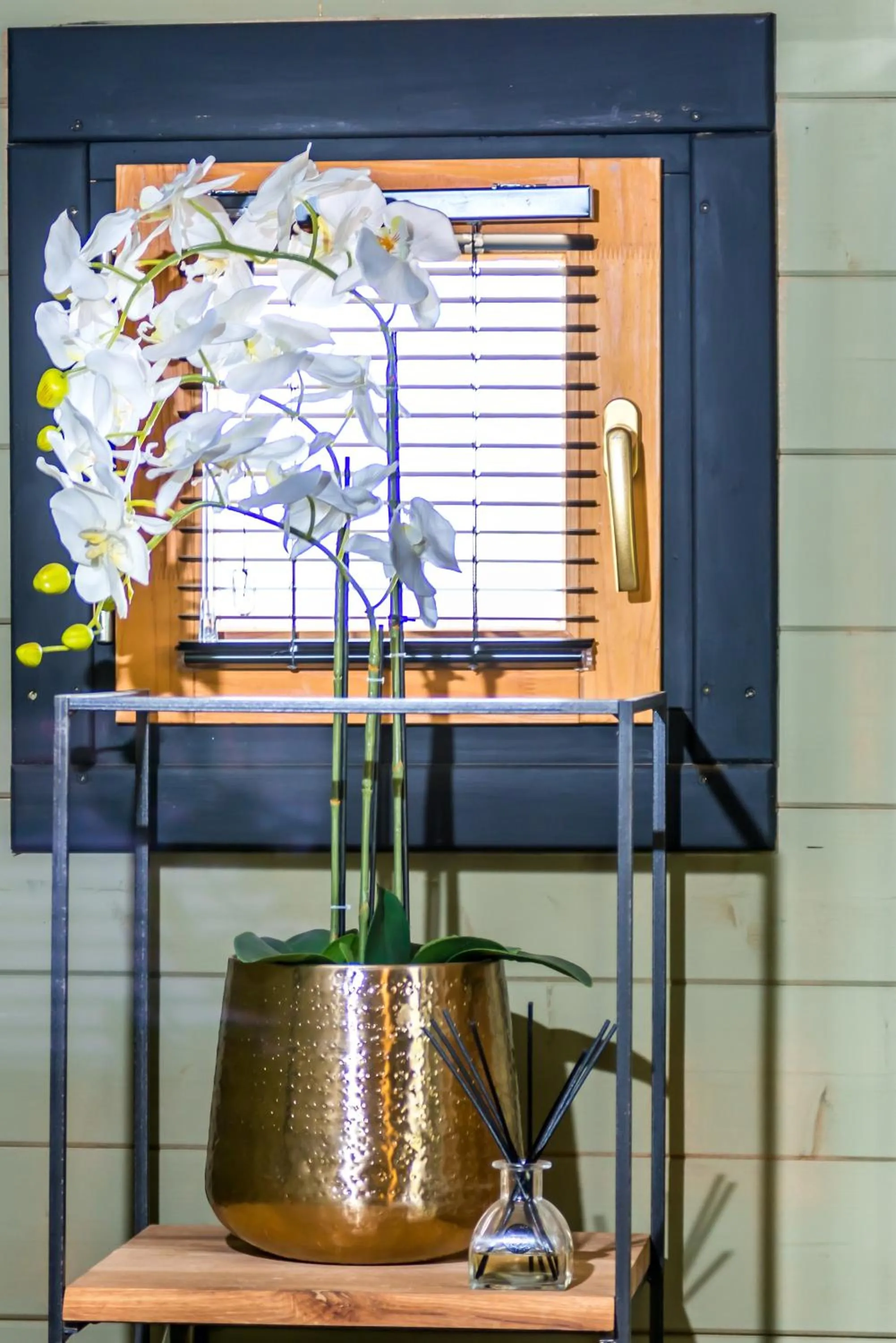 Bonaire Boutique Resort