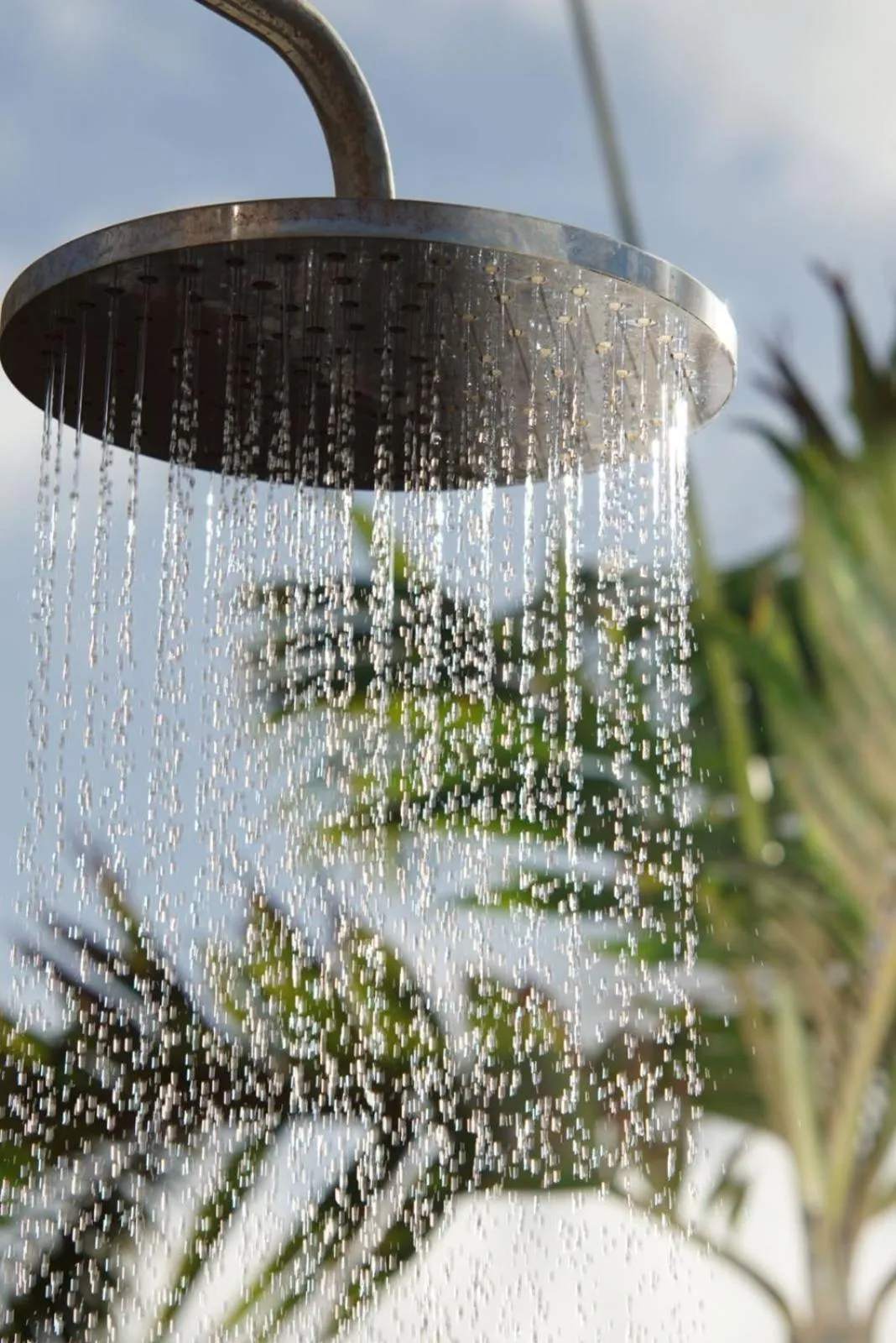  in Bonaire Boutique Resort