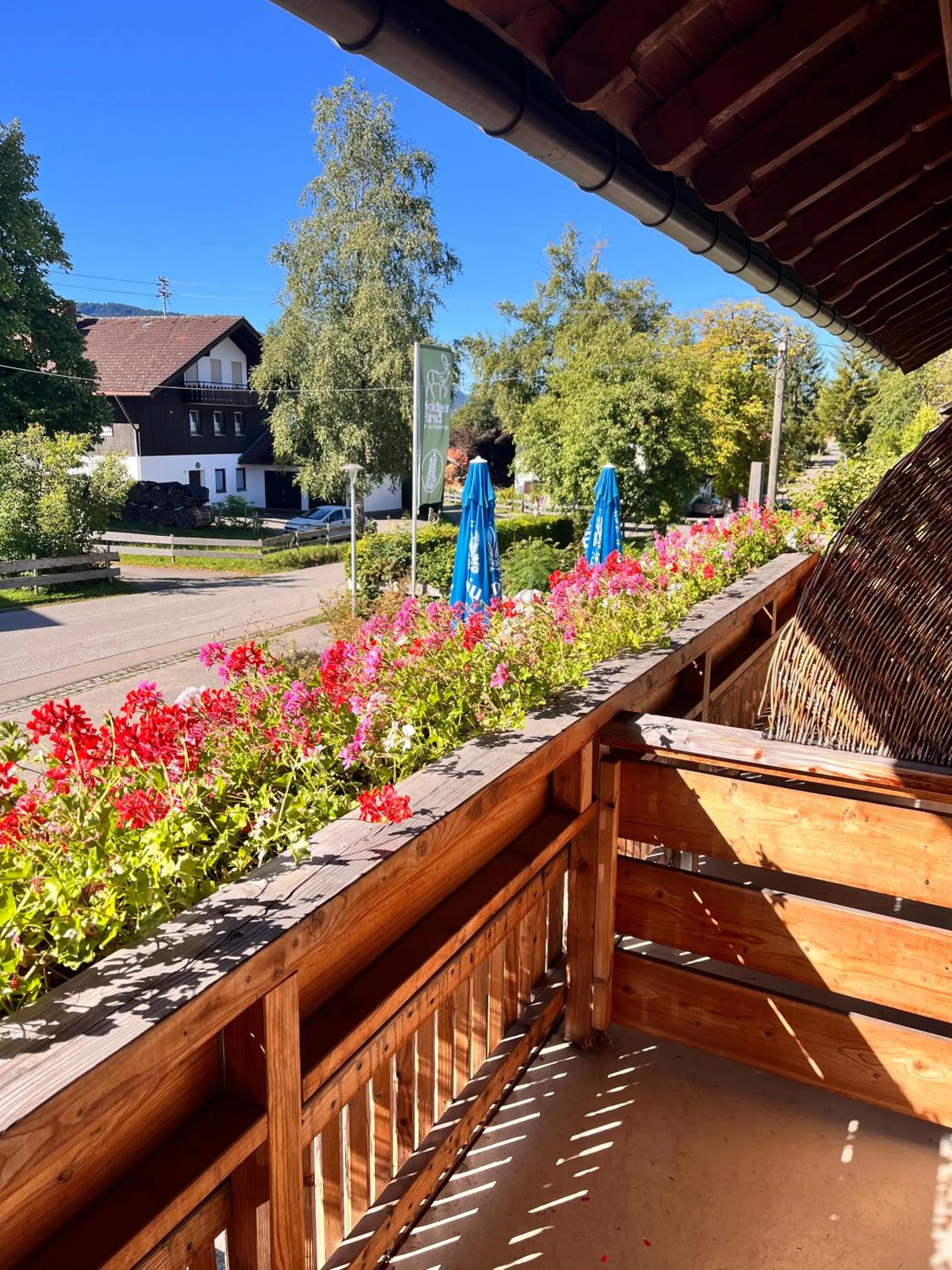 Balcony/Terrace in Goldiger Hirsch B&B mit Gemeinschaftsküche
