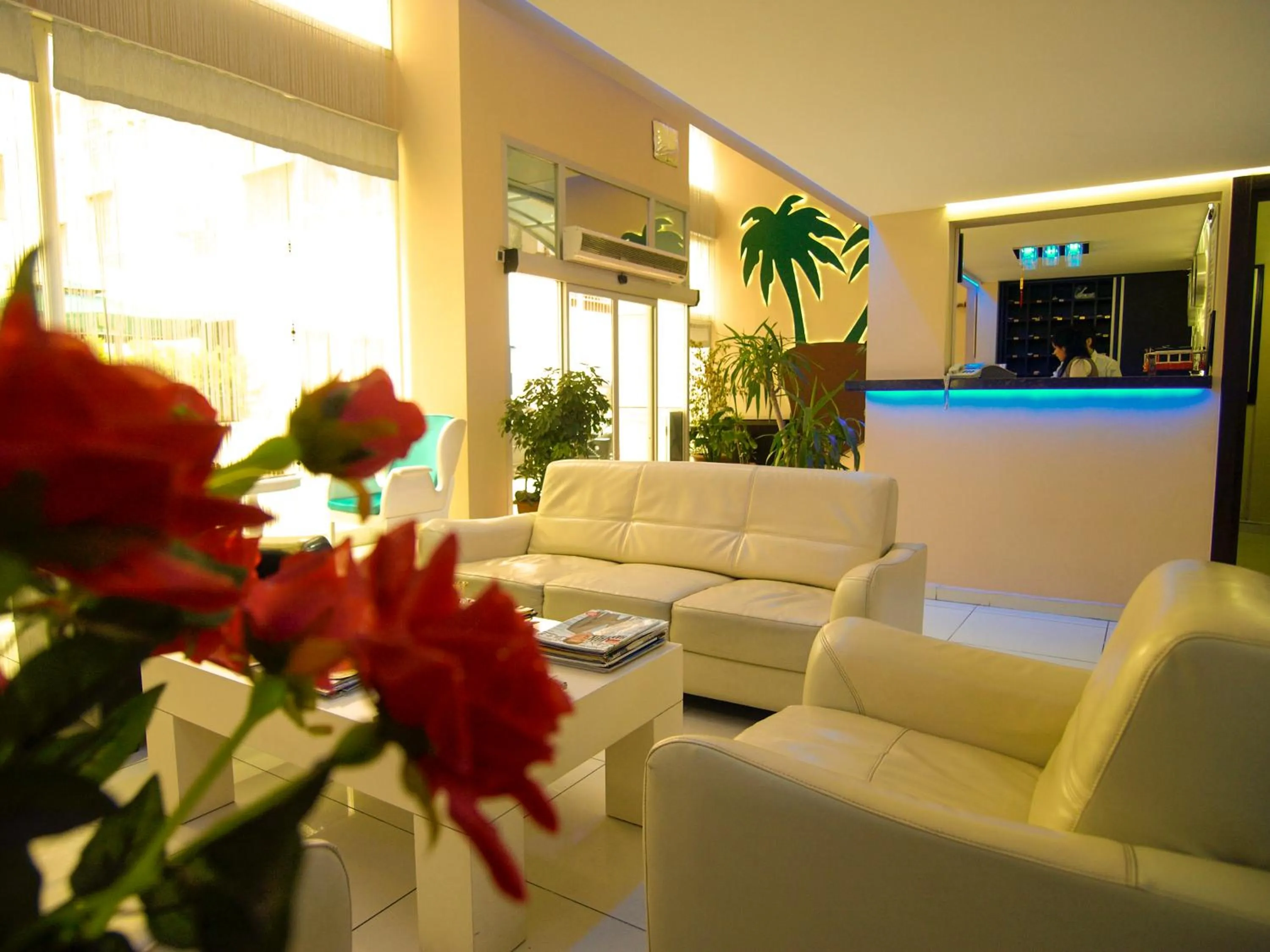 Lobby or reception in Hotel Timya