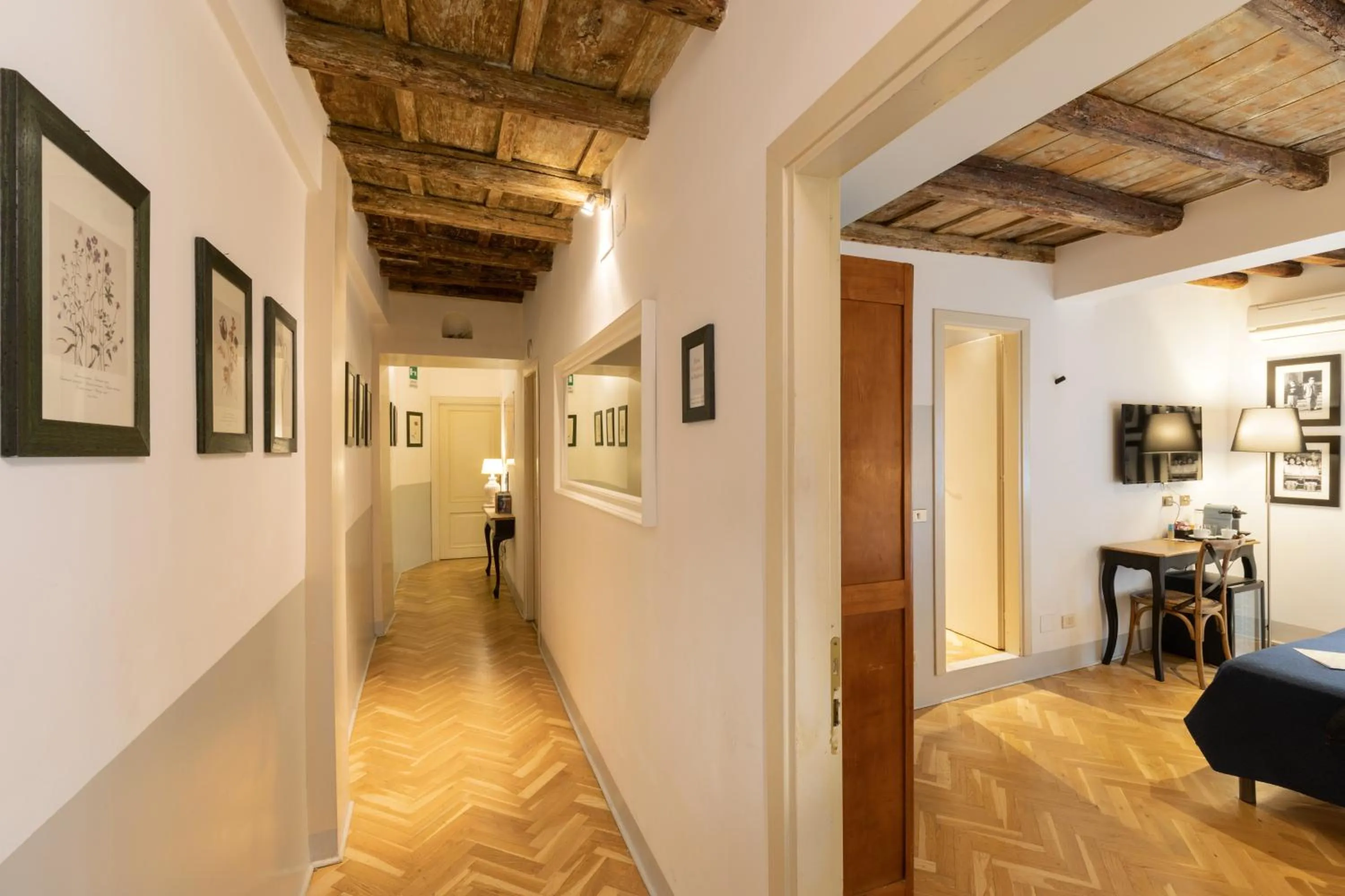 Area and facilities in The Bluehostel