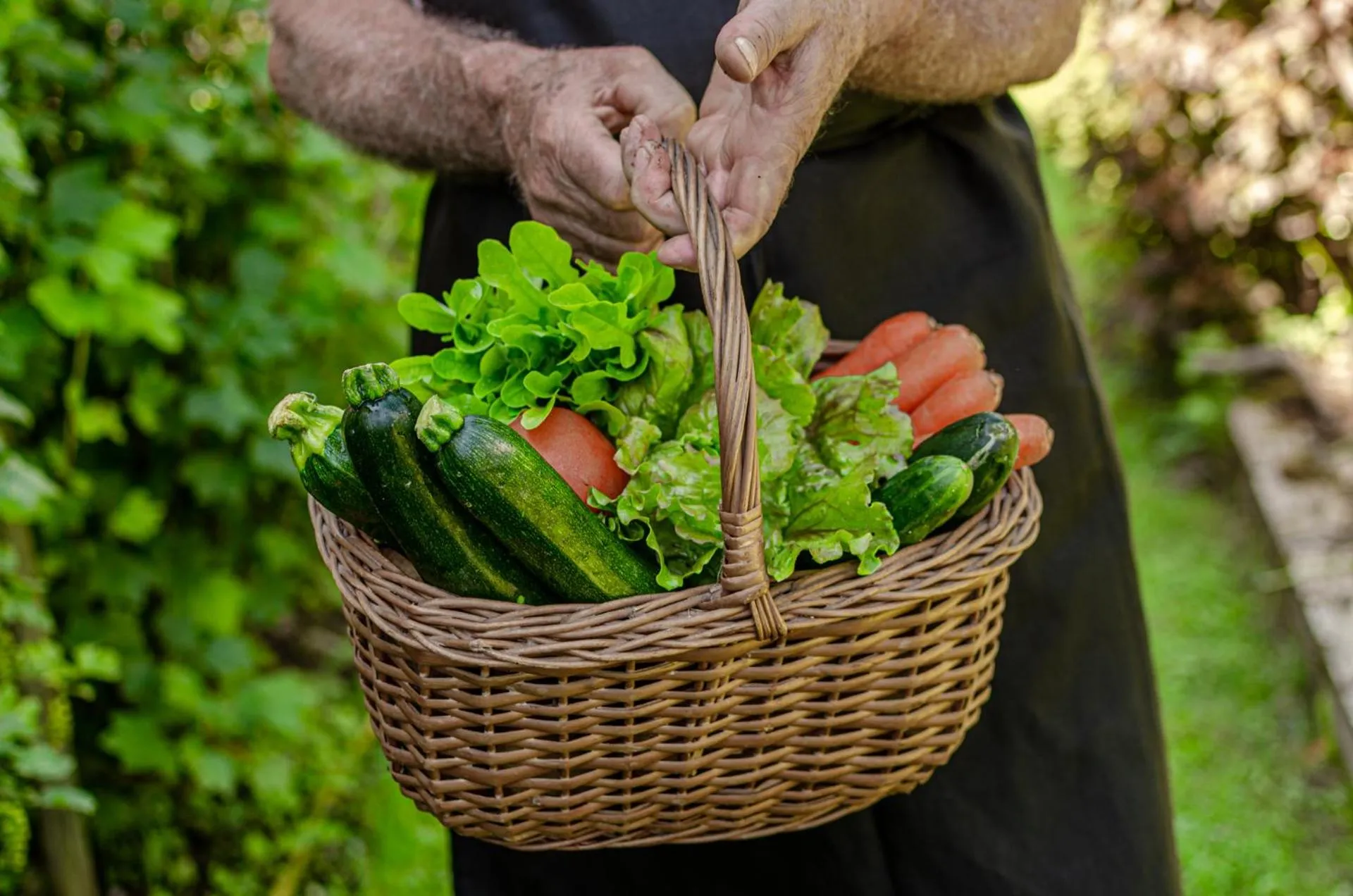 Day in Hotel Bella di Bosco