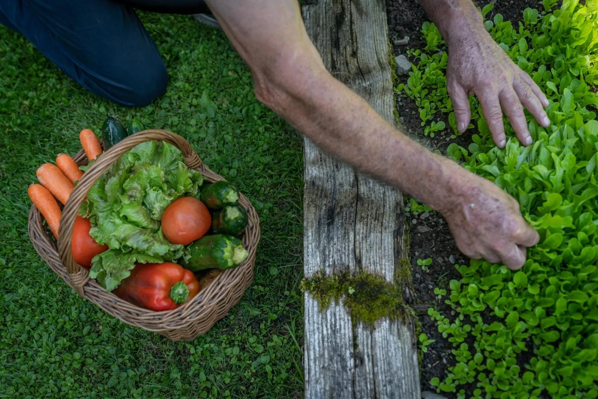 Day in Hotel Bella di Bosco