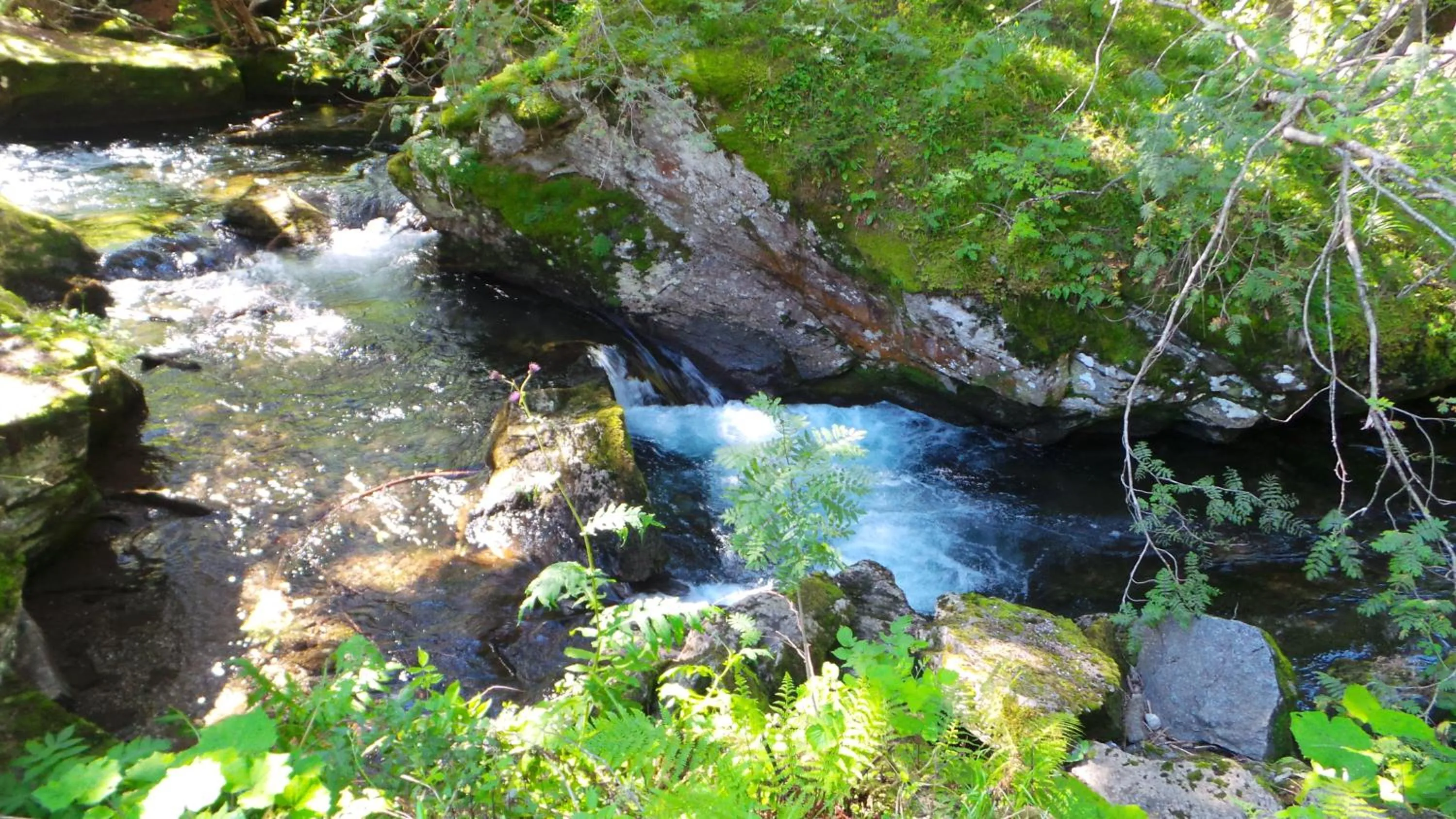 Nearby landmark in Hotel Bella di Bosco