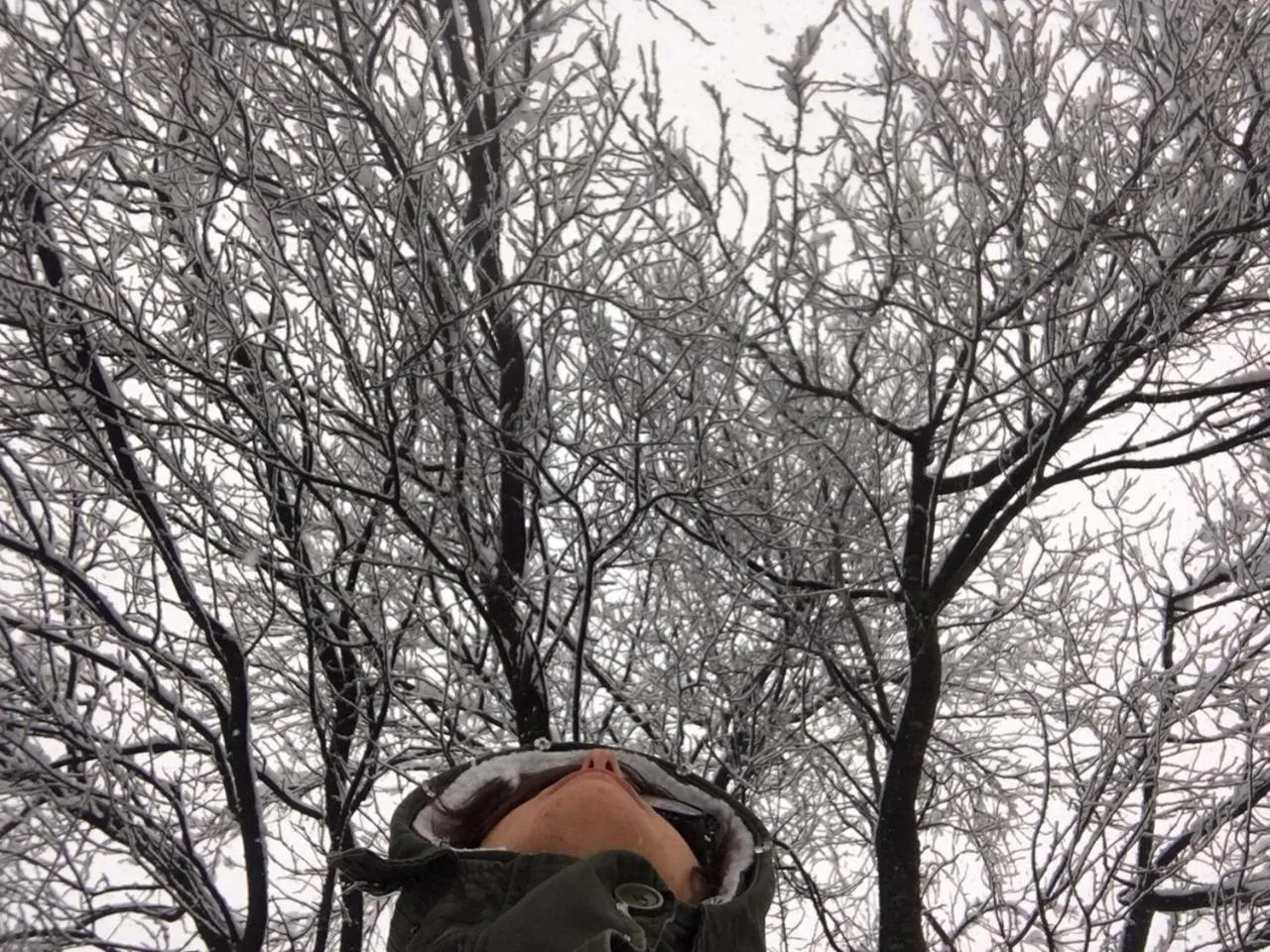 Winter in Hotel Bella di Bosco