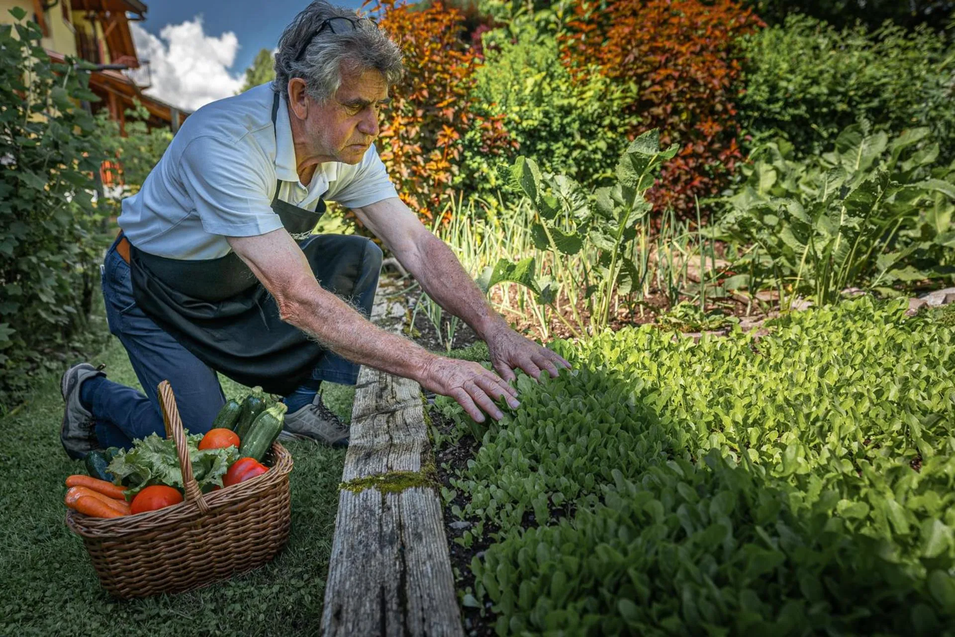 Day in Hotel Bella di Bosco
