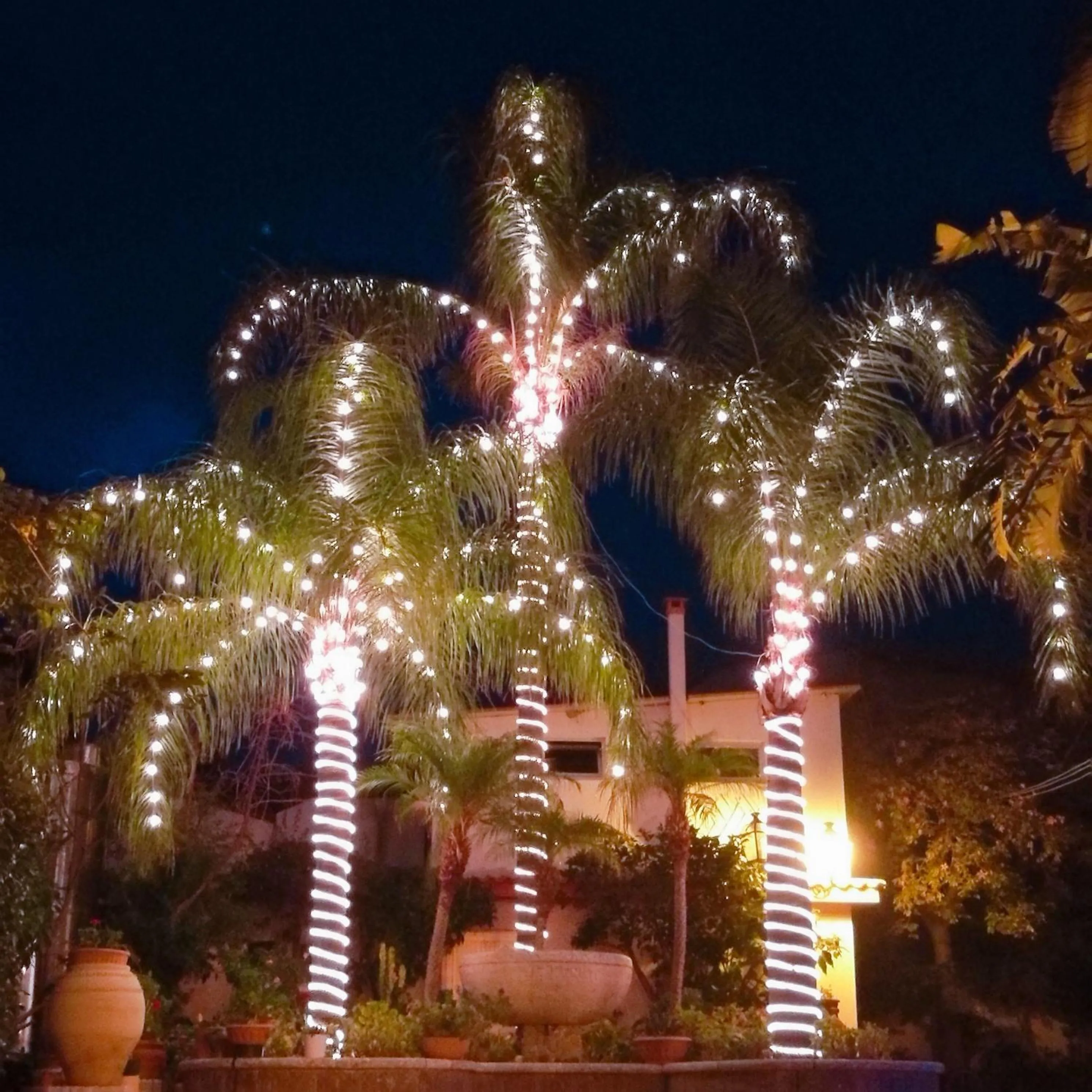 Property building in PARADISO Hotel Ristorante