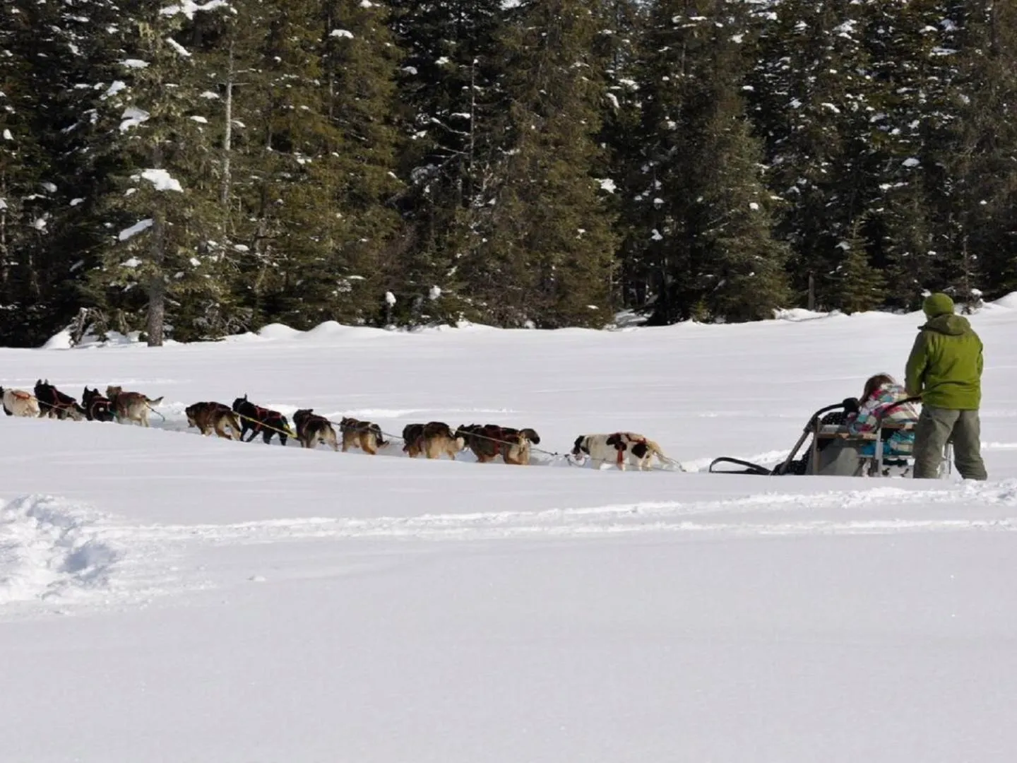 Activities in Carriage House Accommodations