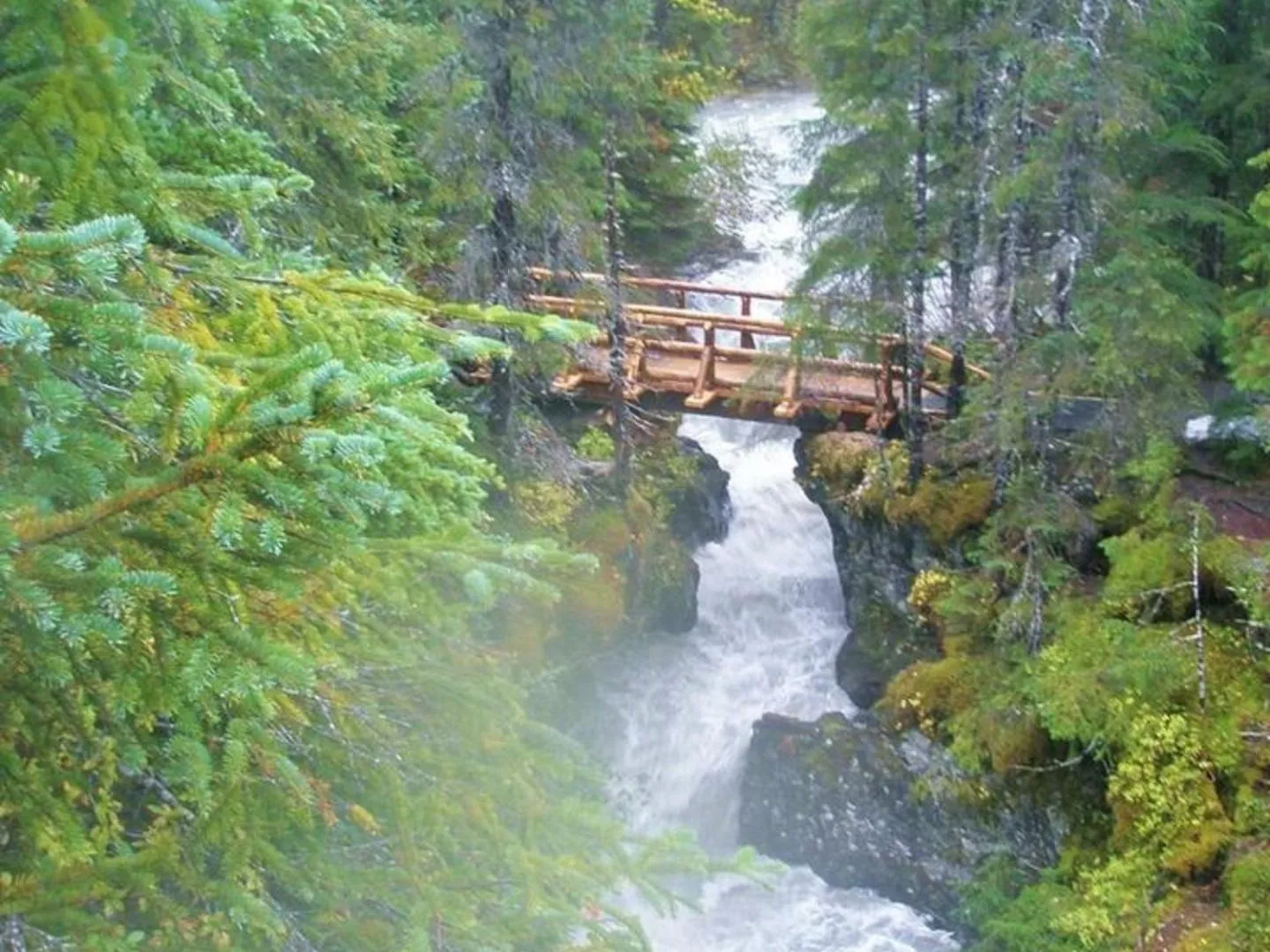 Activities in Carriage House Accommodations