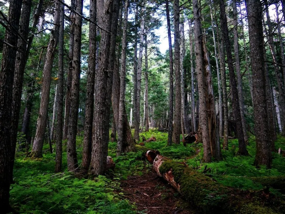 Activities in Carriage House Accommodations