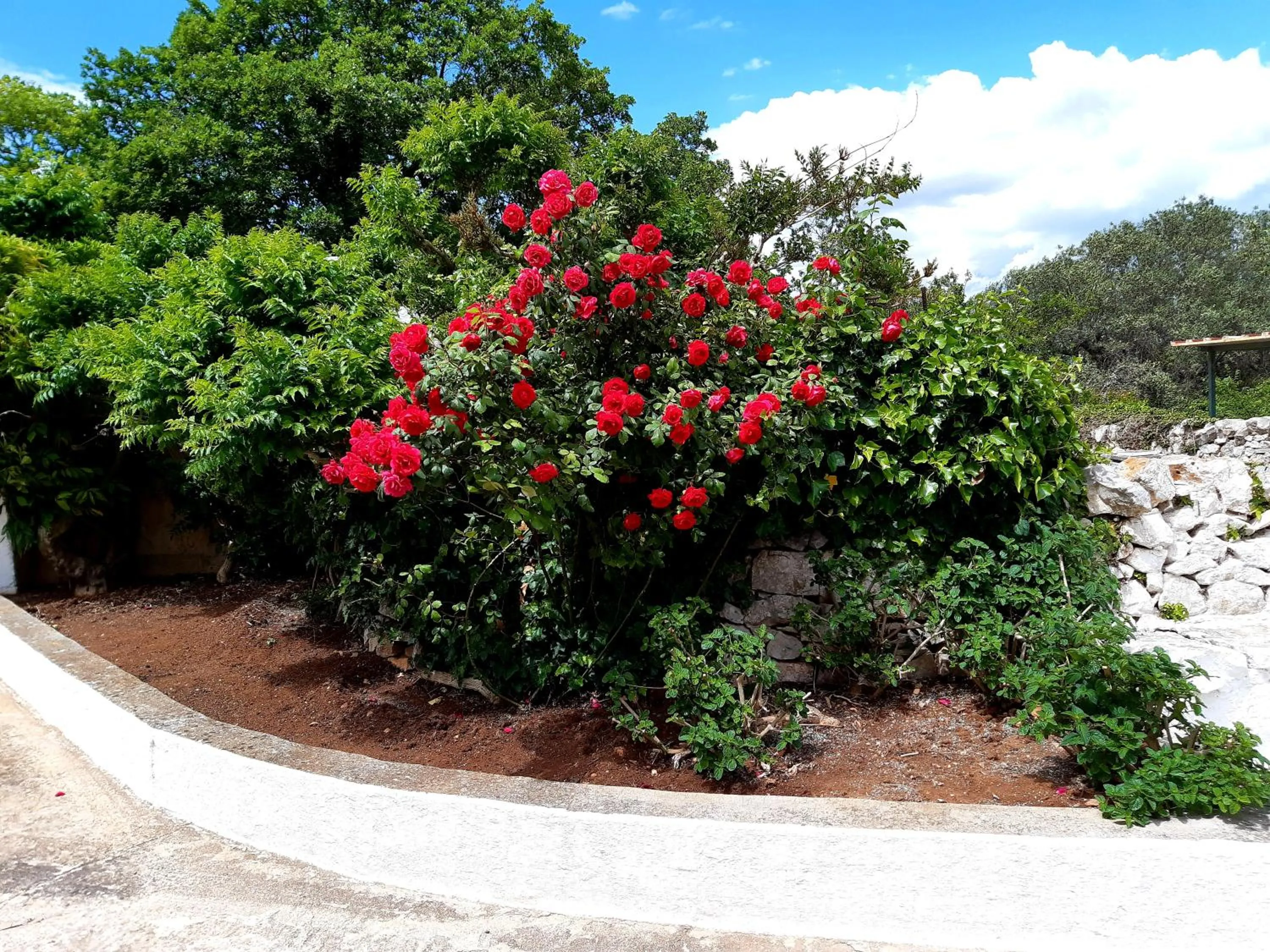 Garden in B&B Bell'aria