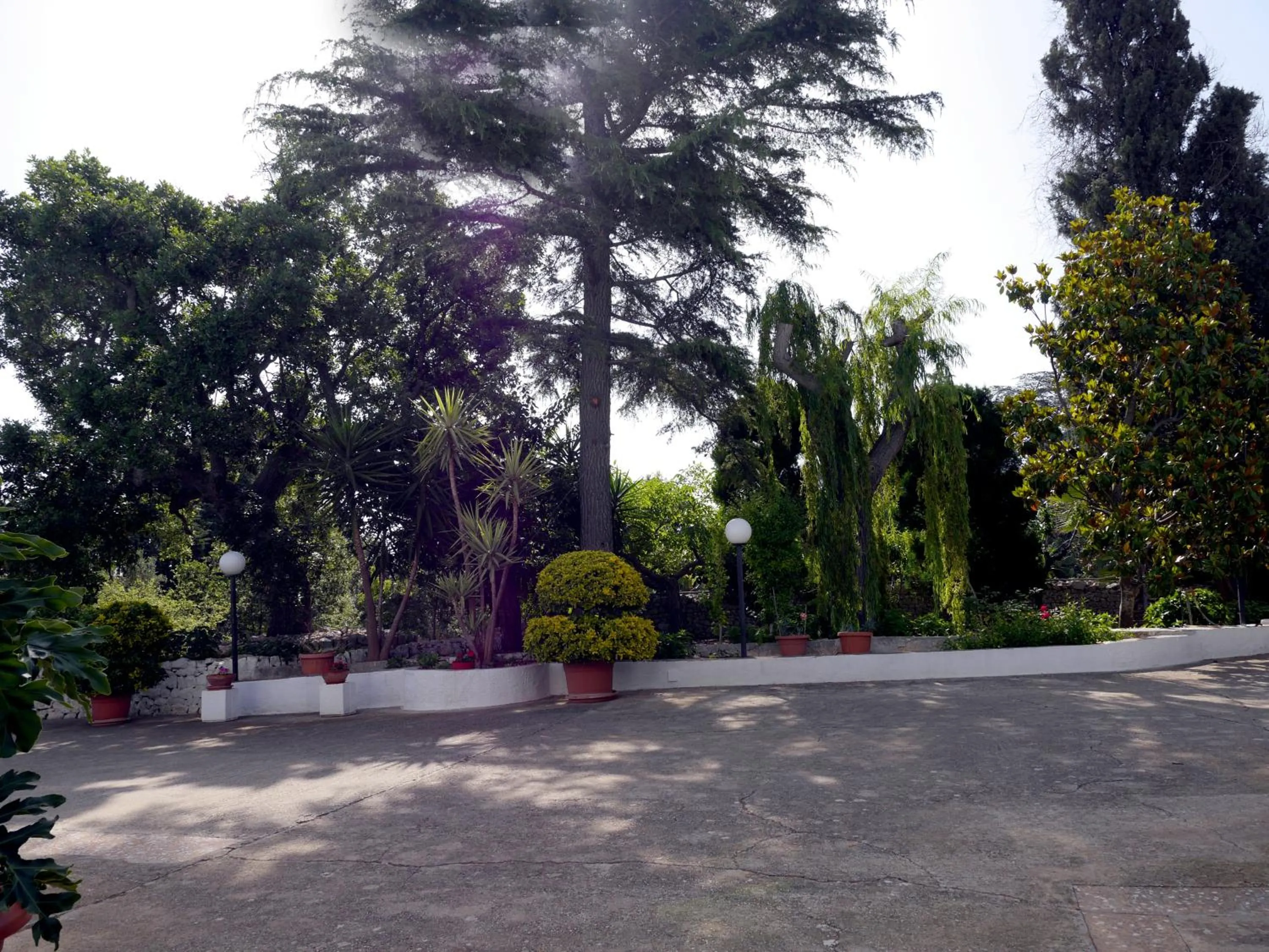 Garden in B&B Bell'aria