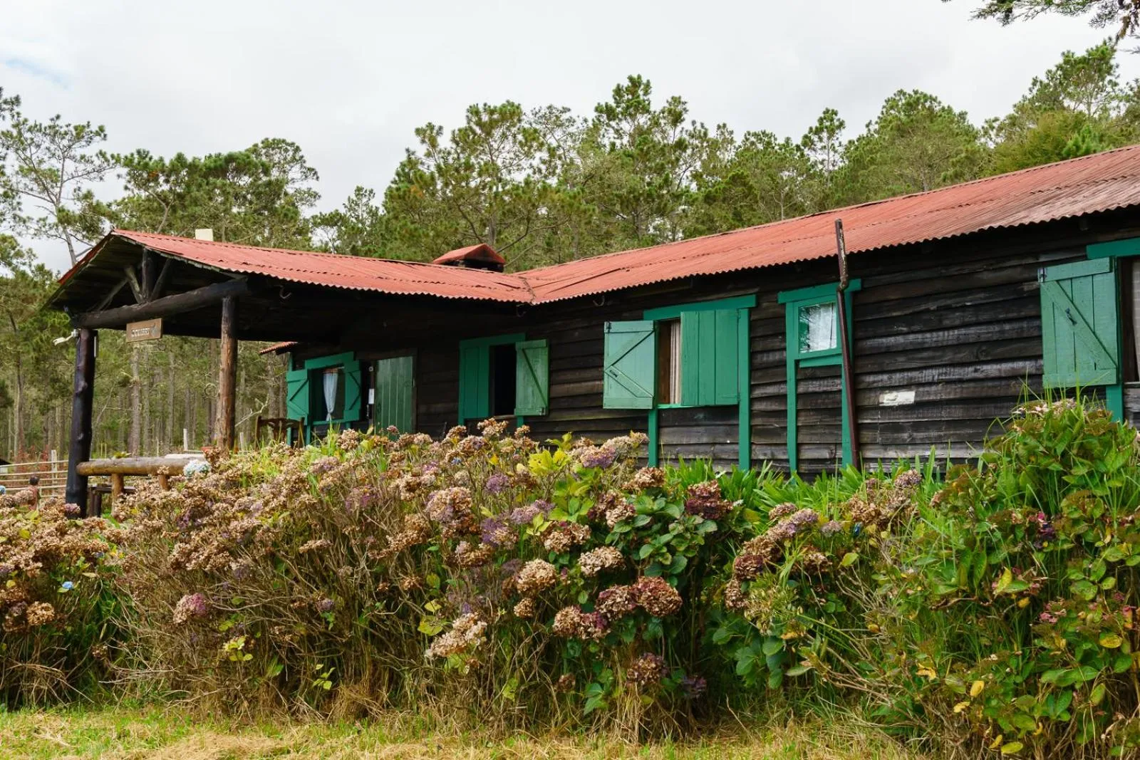 Villa Pajon Eco Lodge