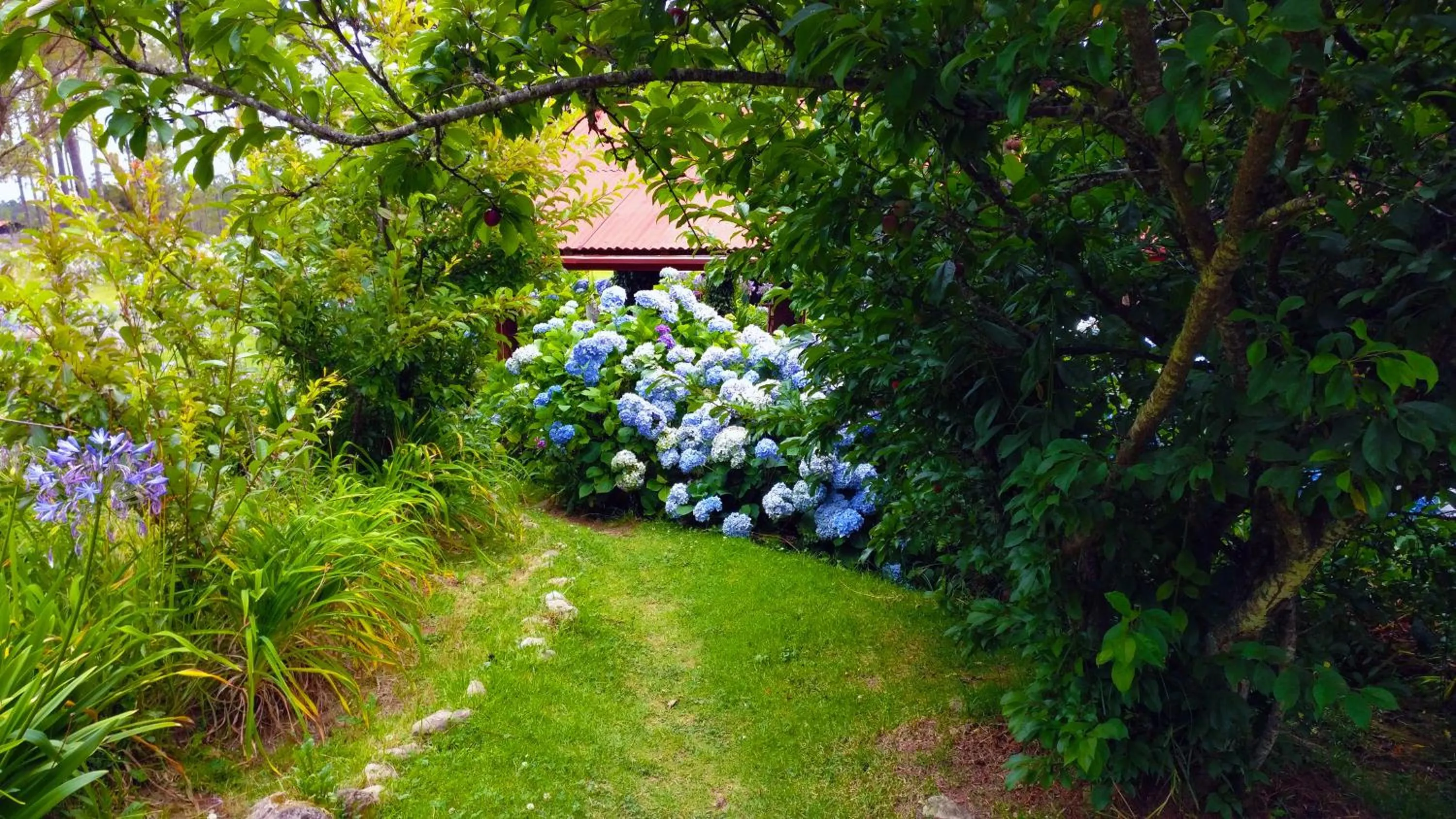 Garden view in Villa Pajon Eco Lodge