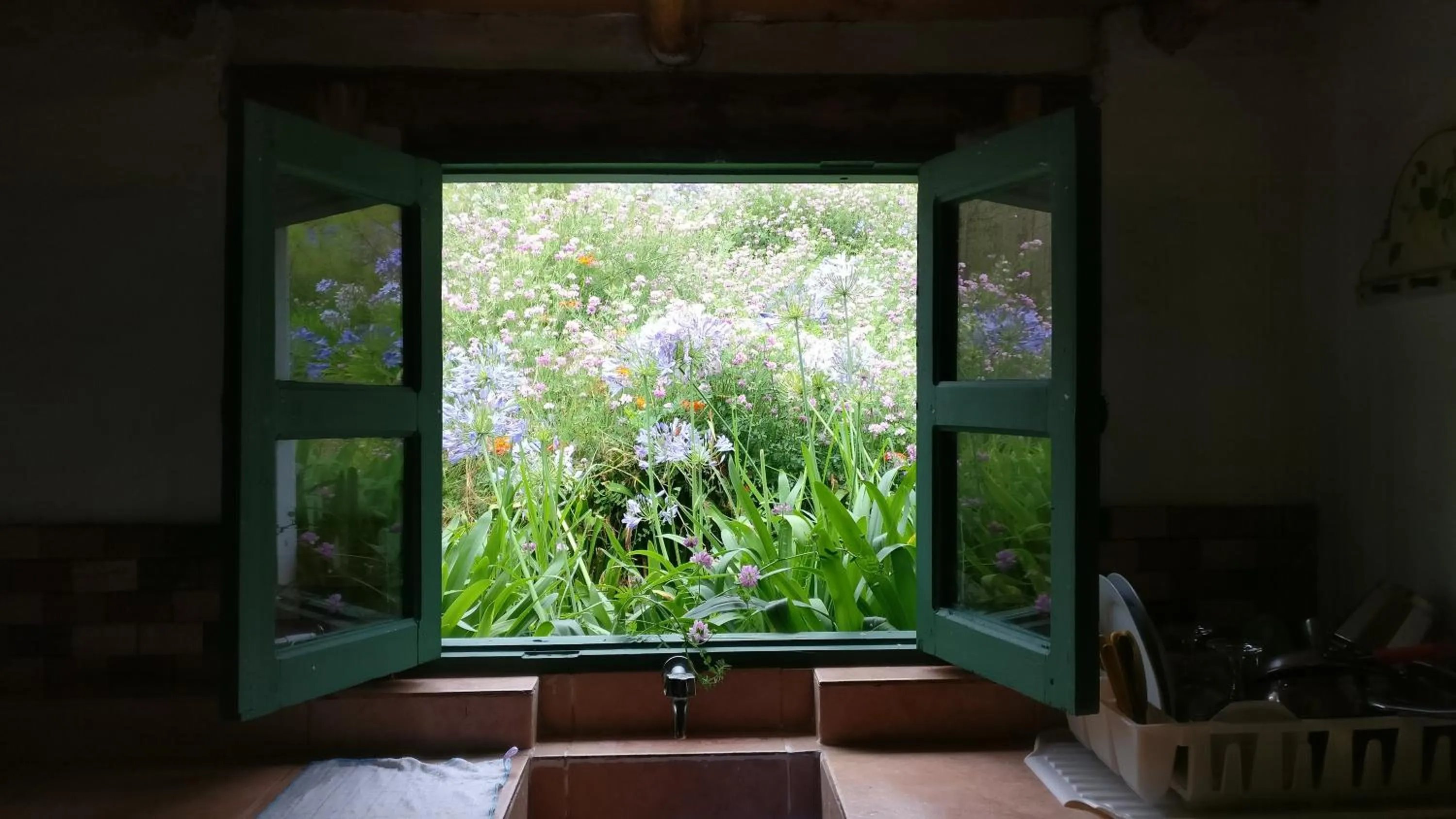 Villa Pajon Eco Lodge