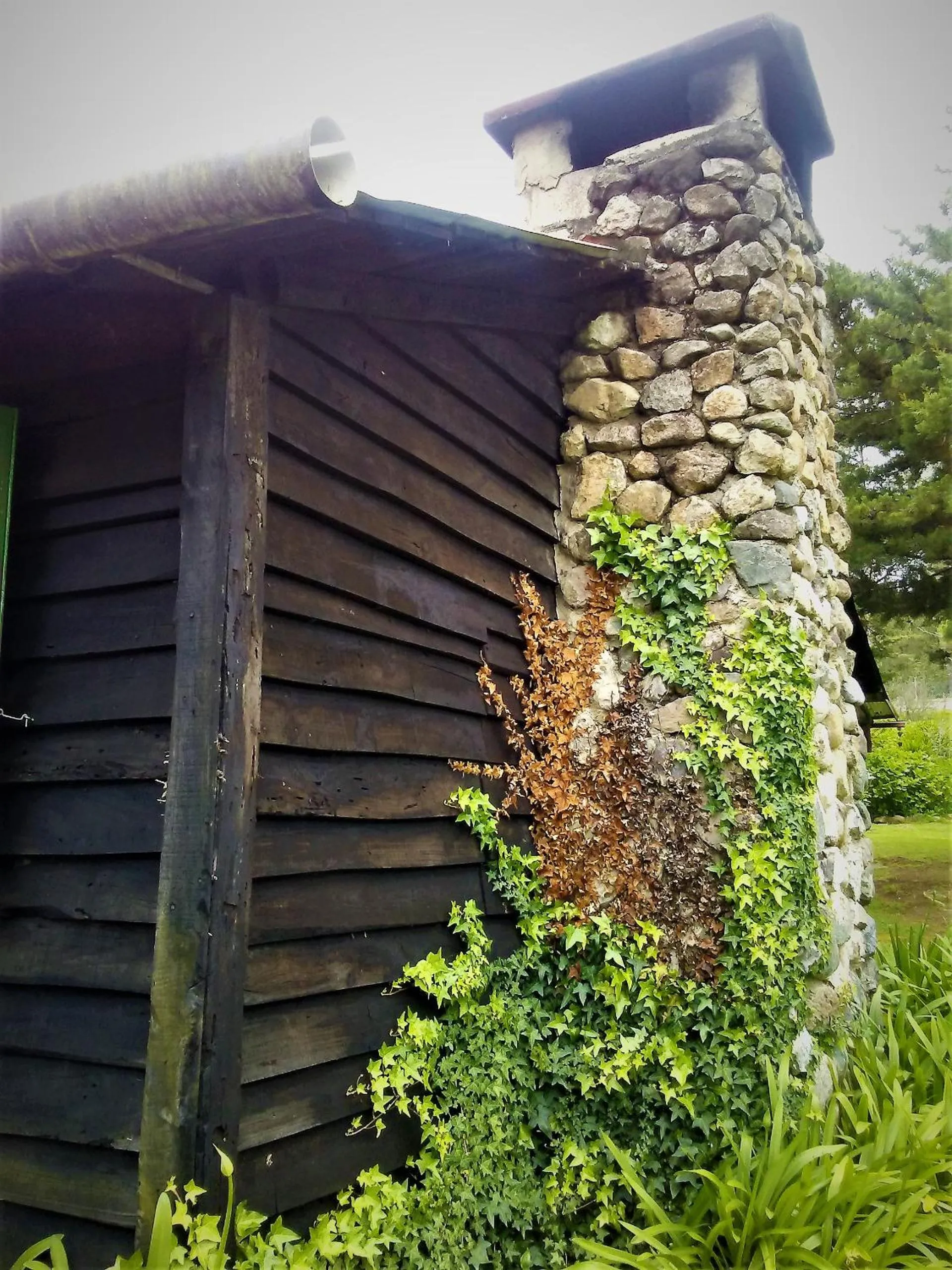 Villa Pajon Eco Lodge