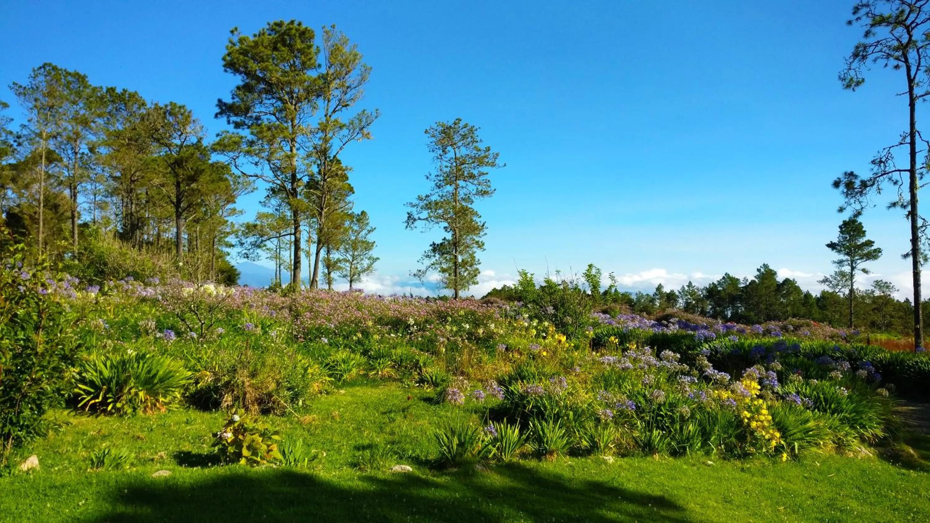 Mountain view in Villa Pajon Eco Lodge