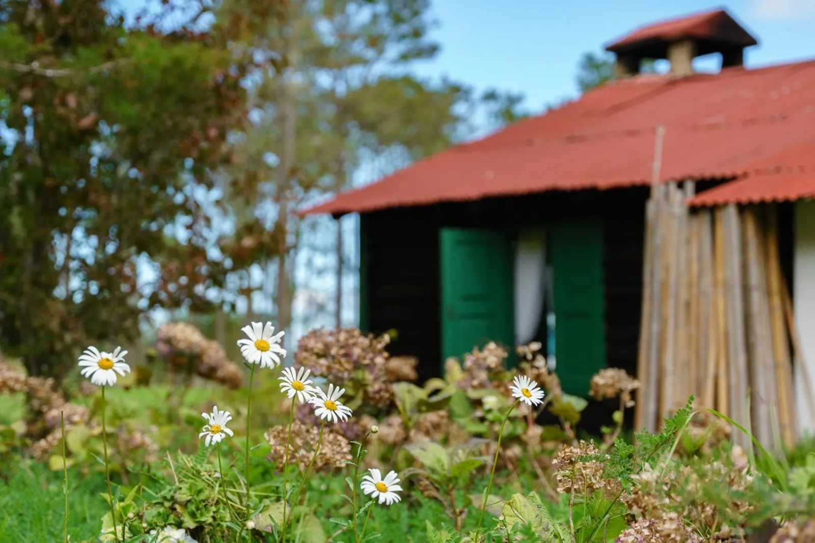 Villa Pajon Eco Lodge