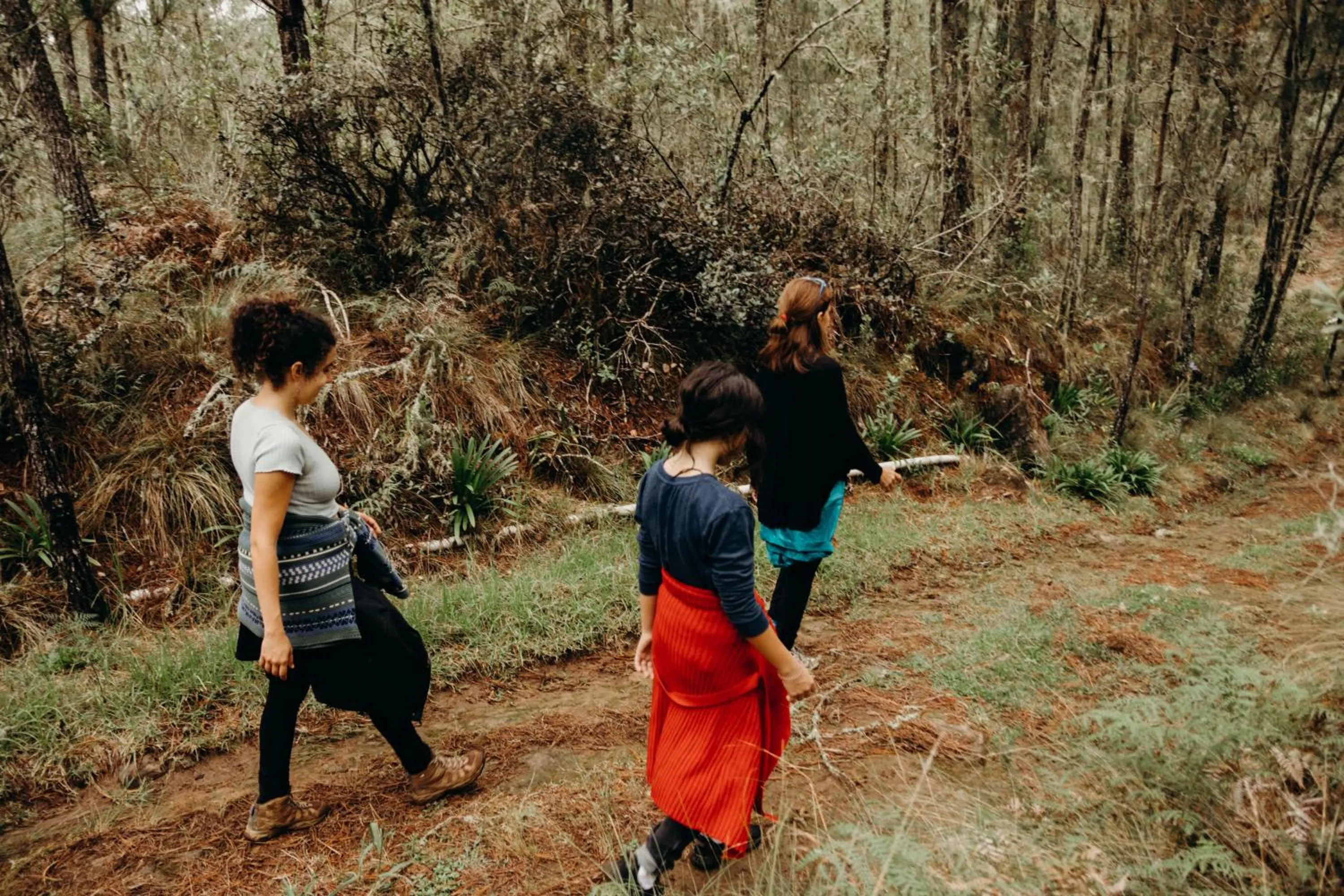 Hiking in Villa Pajon Eco Lodge