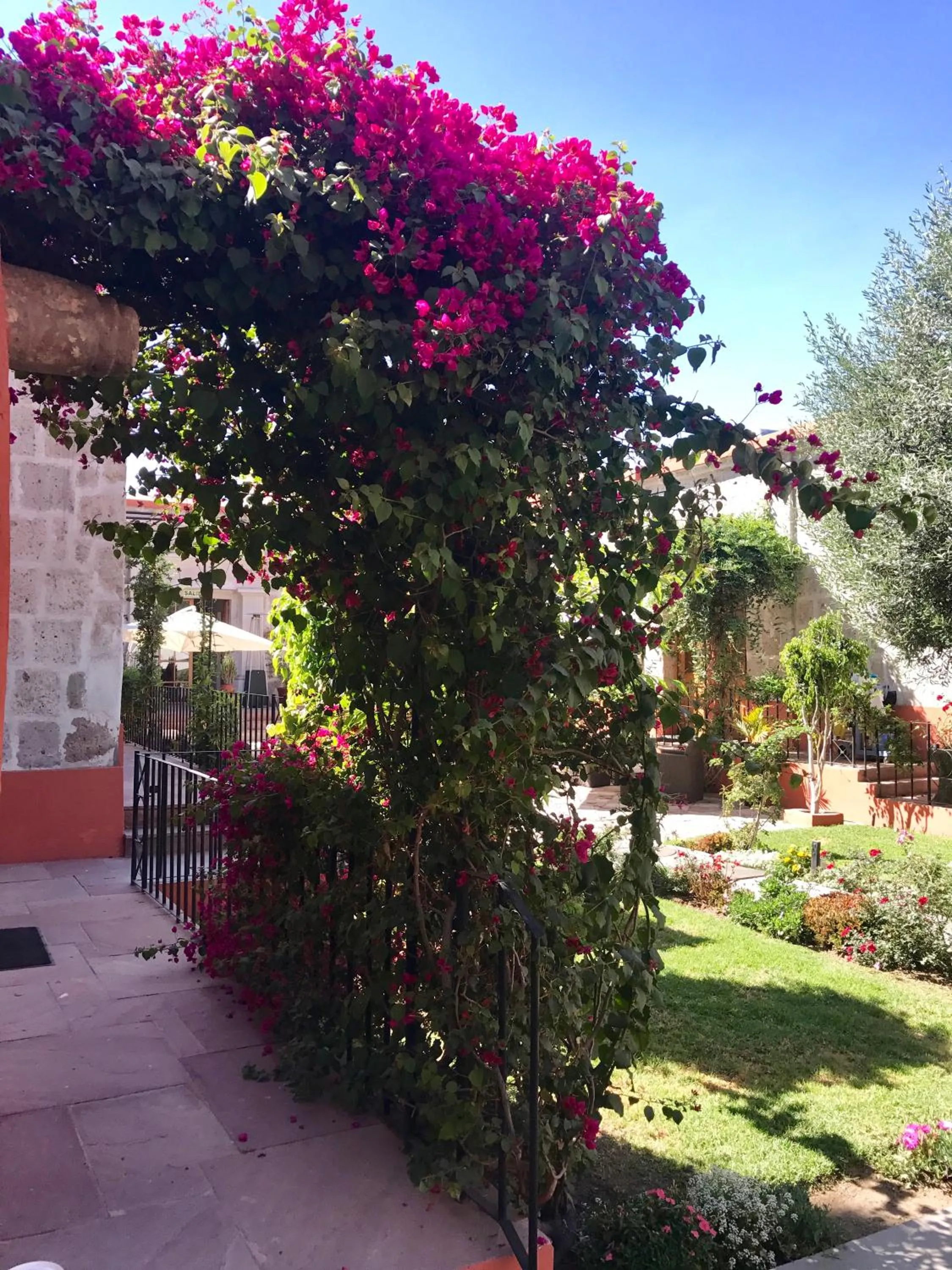 Patio in Hotel Casona Solar