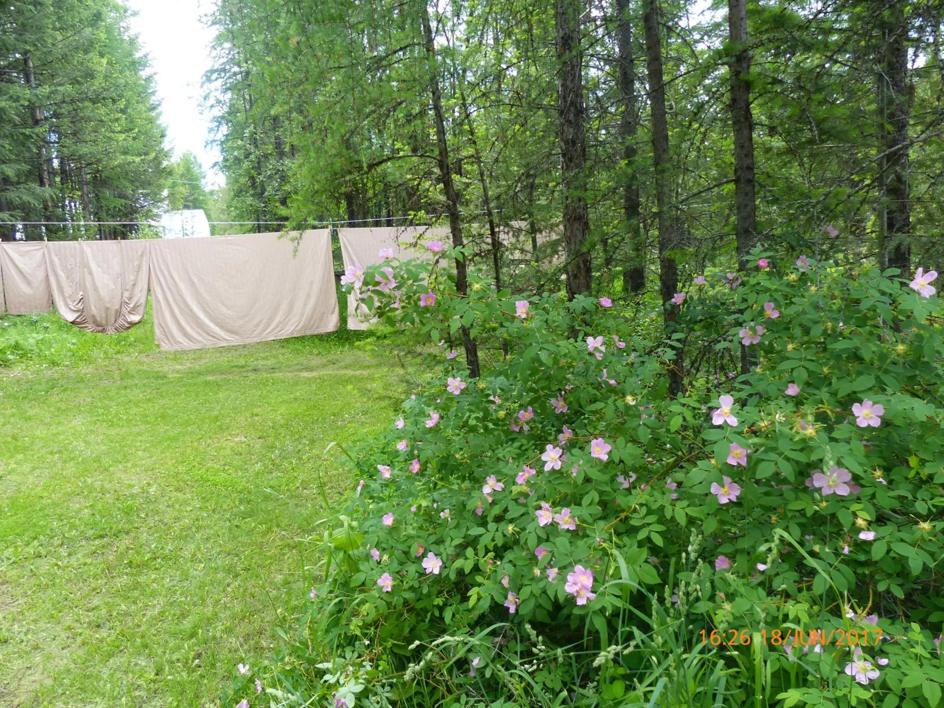 Garden in End of the road B & B