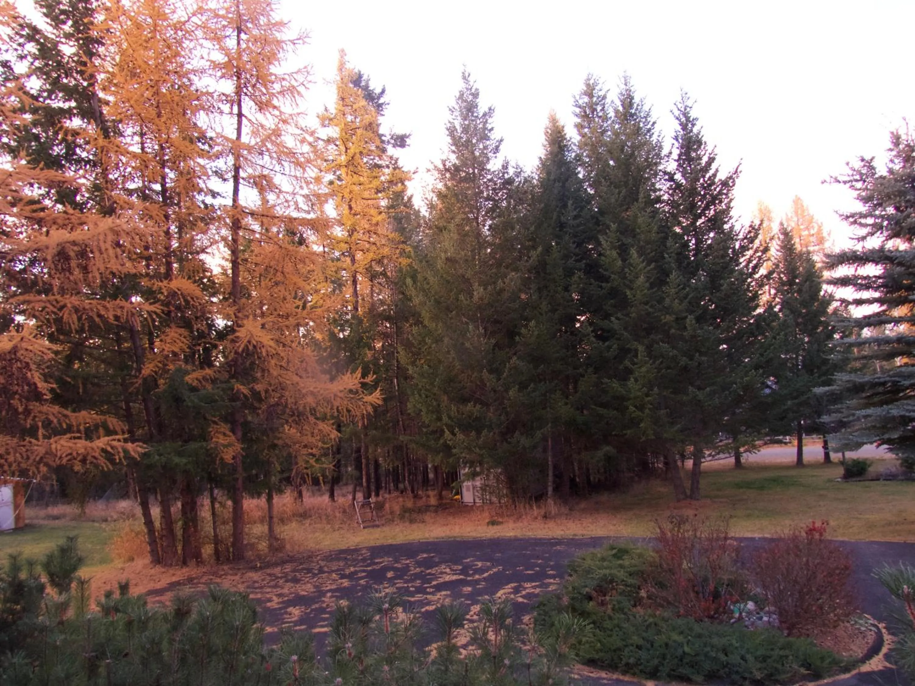 Natural landscape in End of the road B & B