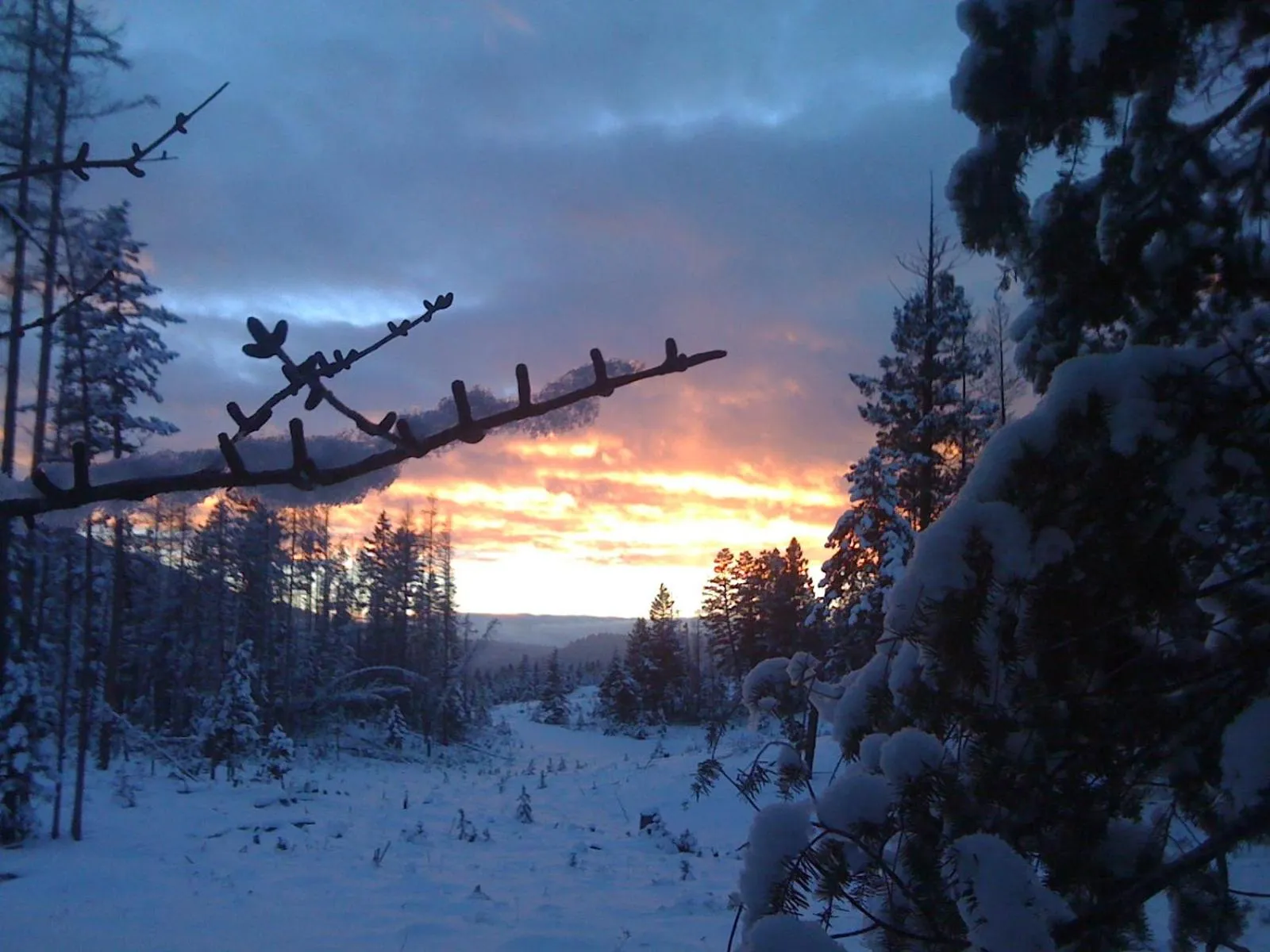 Off site in End of the road B & B