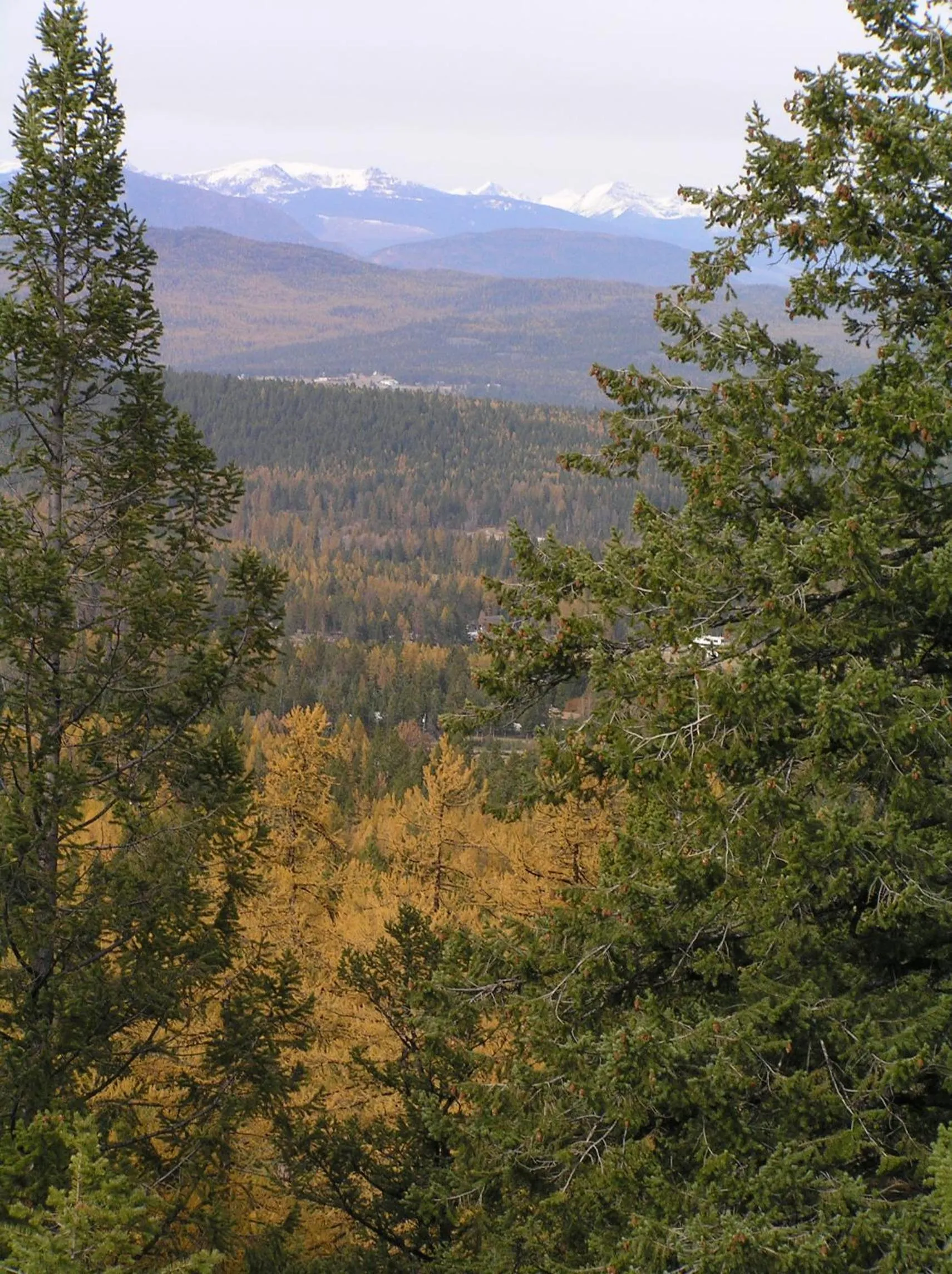 Autumn in End of the road B & B