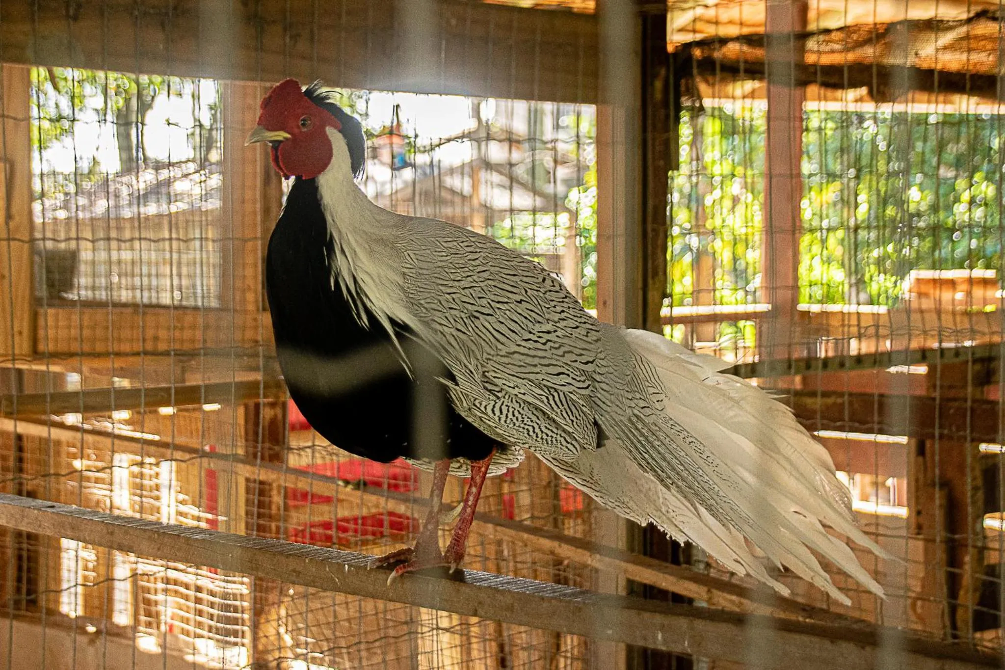 Pousada Chácara Rio Jordão