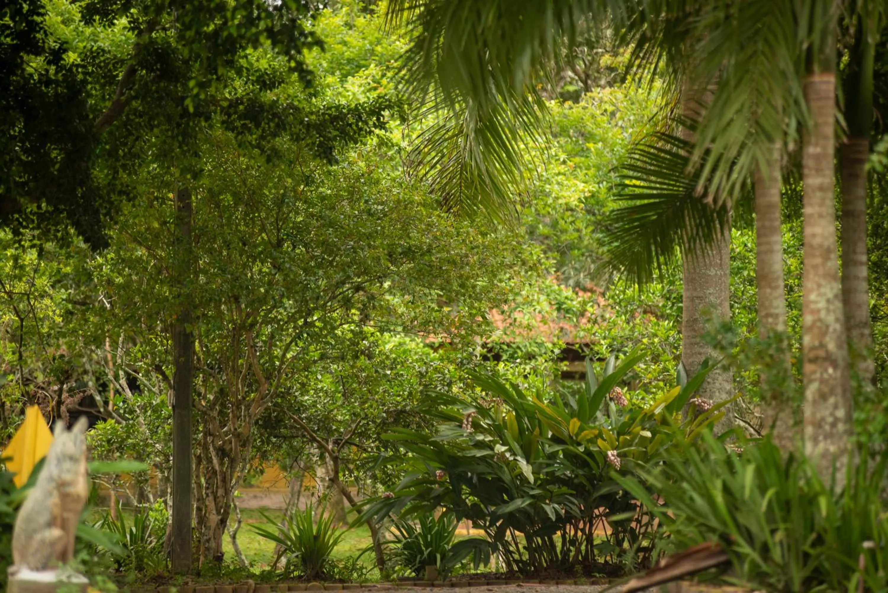 Pousada Chácara Rio Jordão