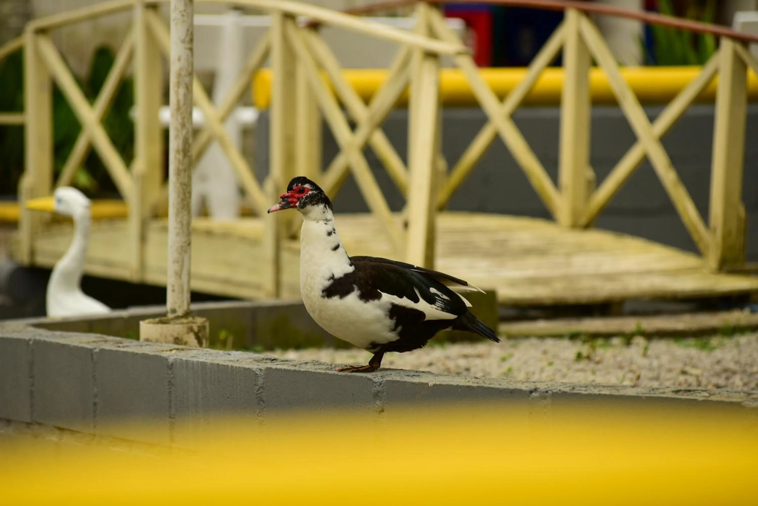 Pousada Chácara Rio Jordão