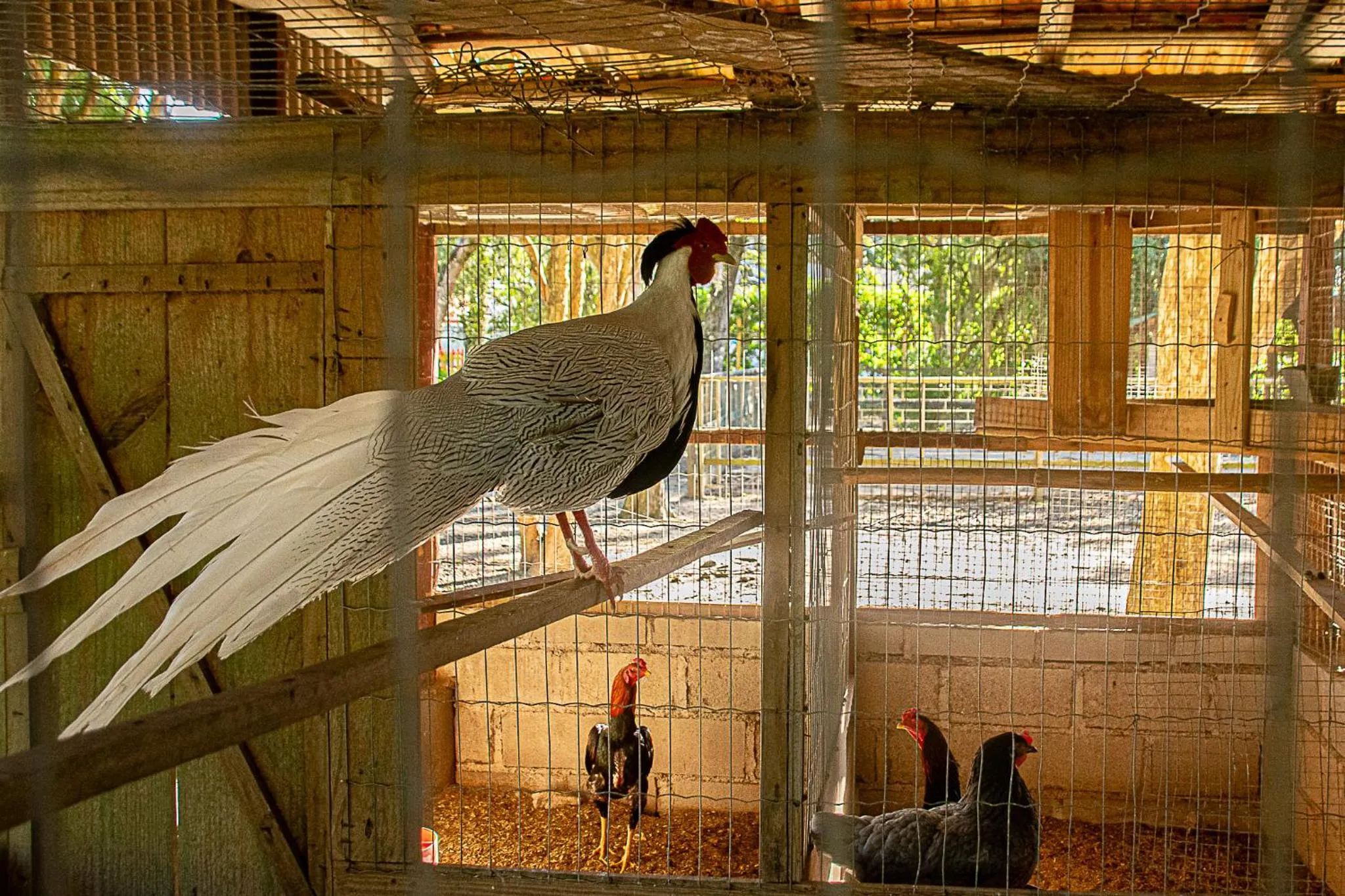 Pousada Chácara Rio Jordão