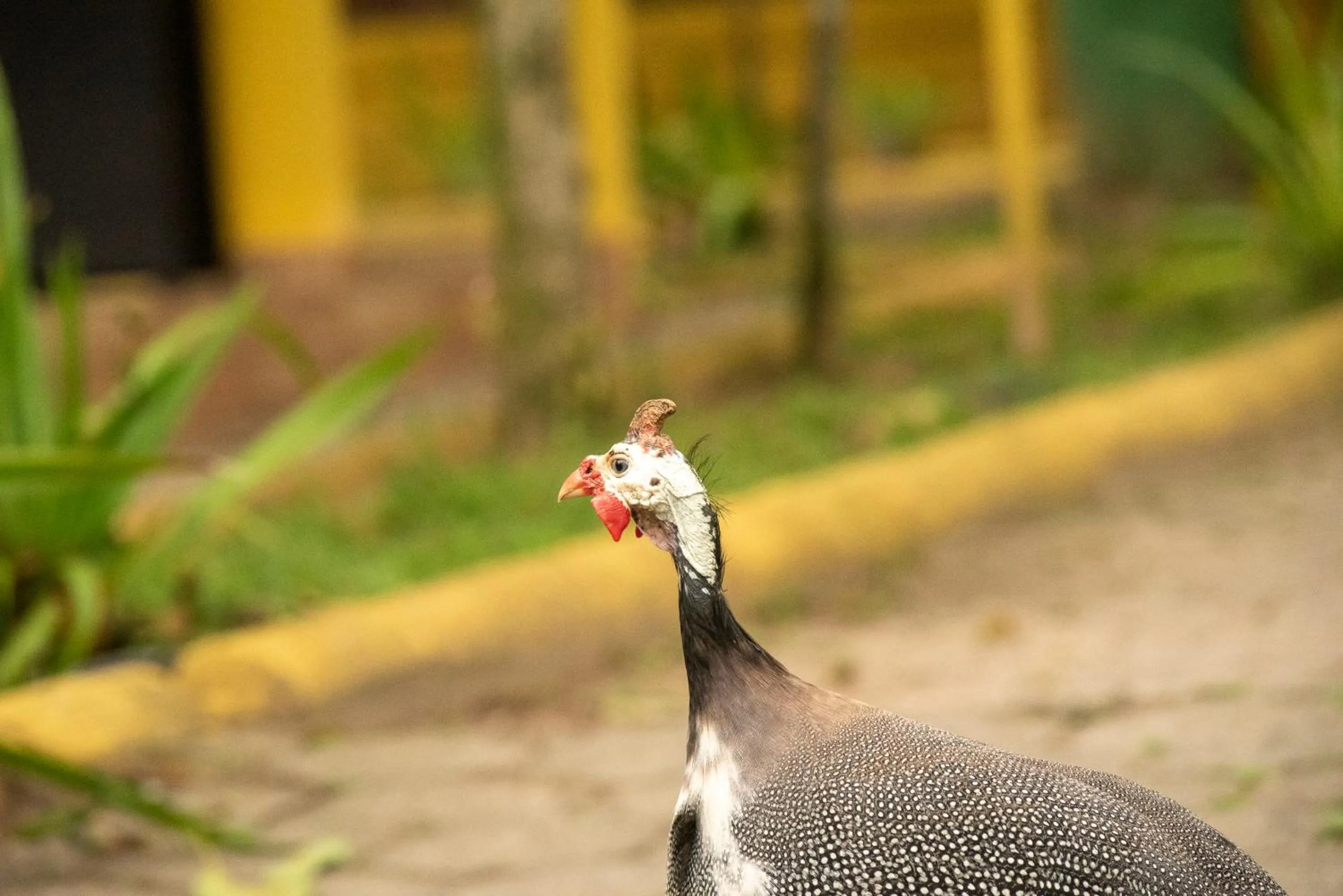 Pousada Chácara Rio Jordão