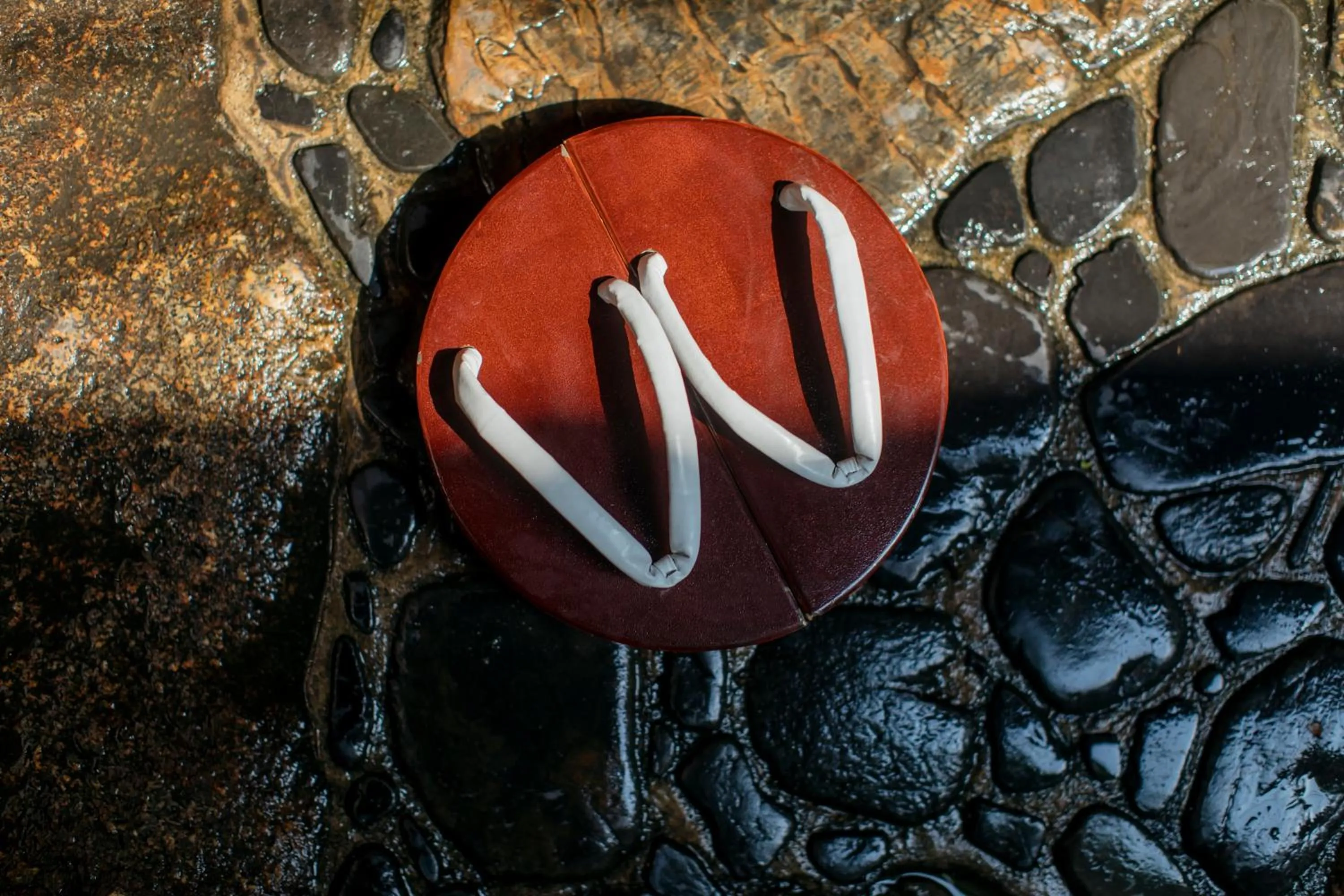 Garden in Toshiharu Ryokan