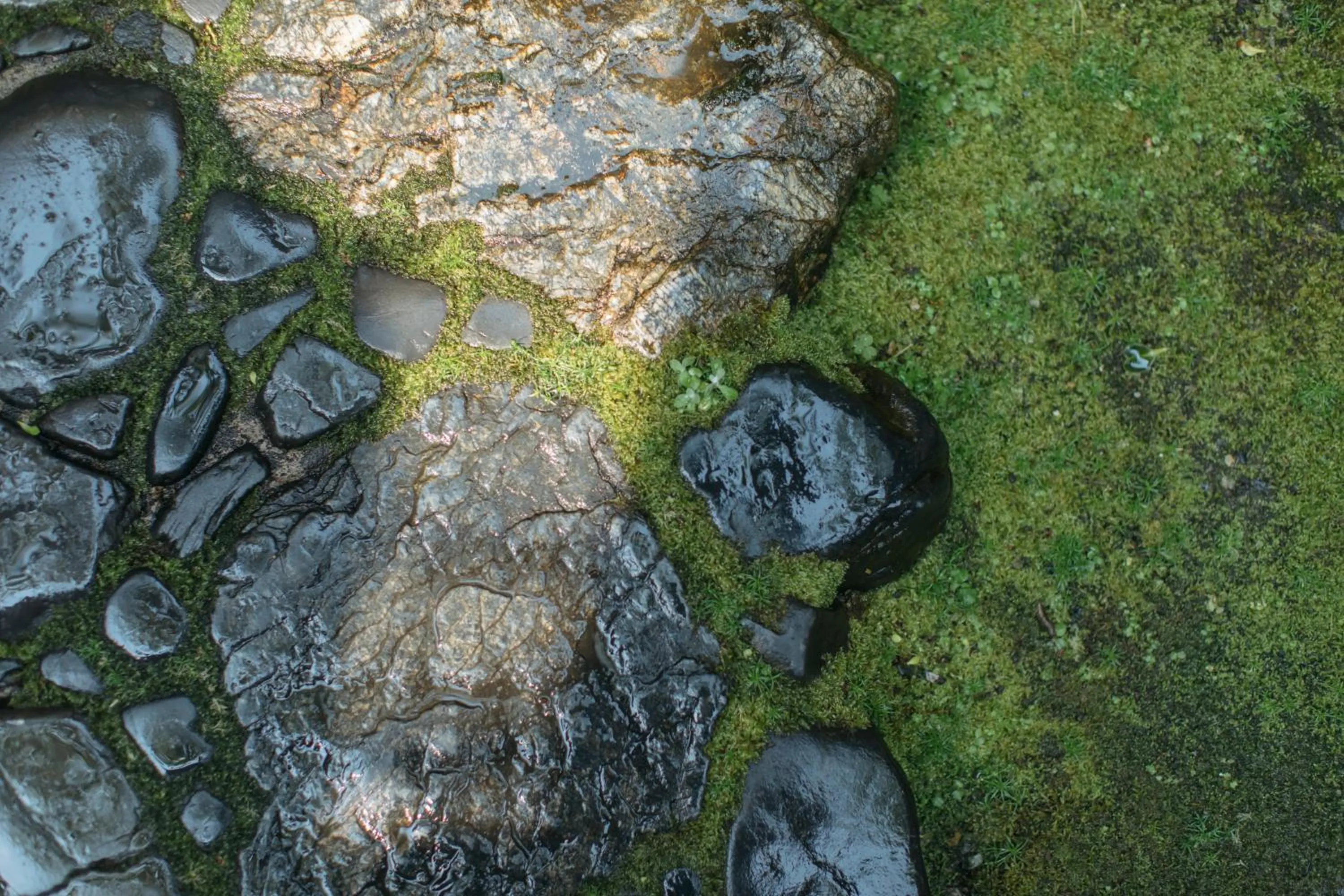 Garden in Toshiharu Ryokan