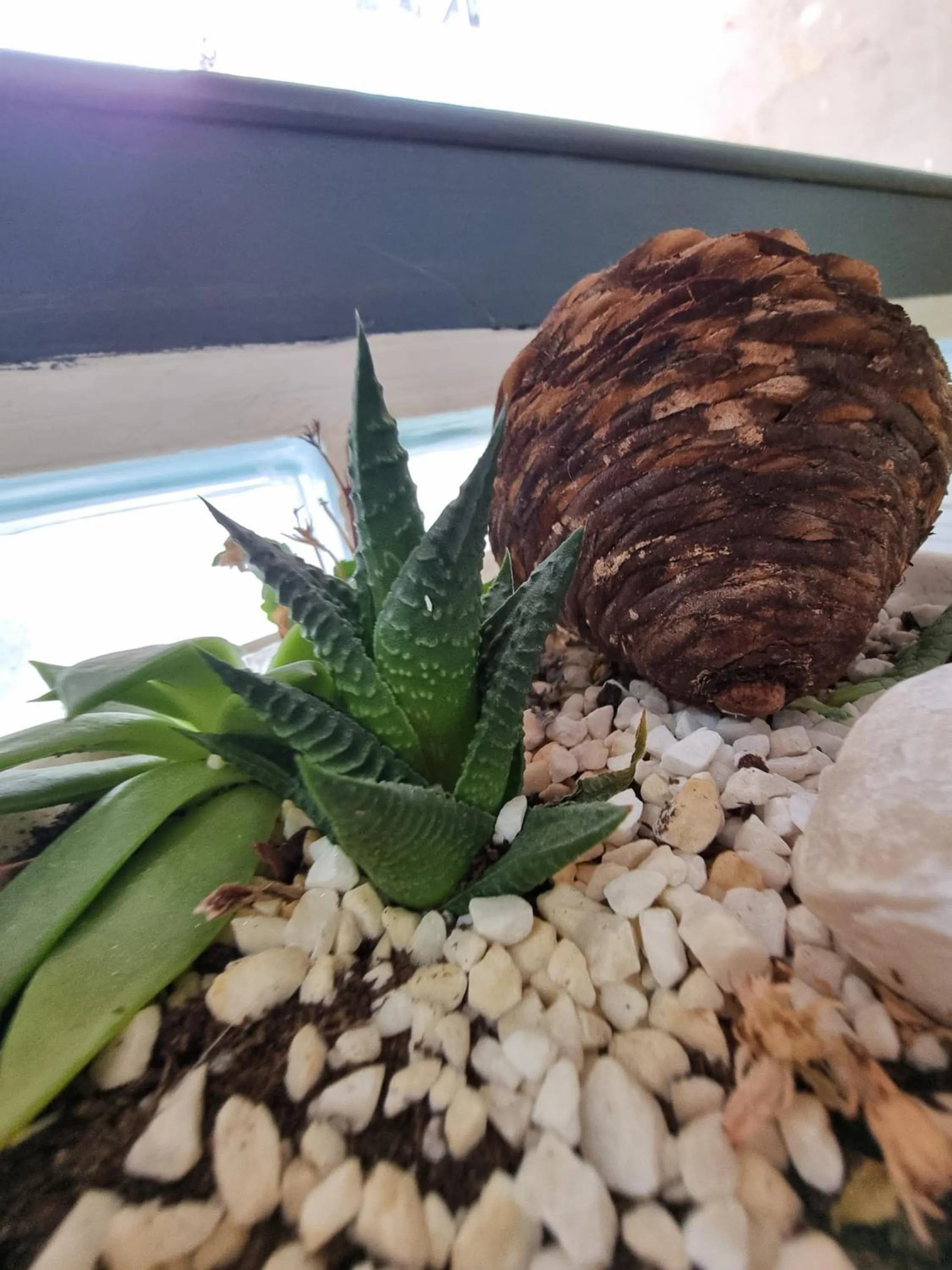 Lobby or reception in Europa Hotel Selale