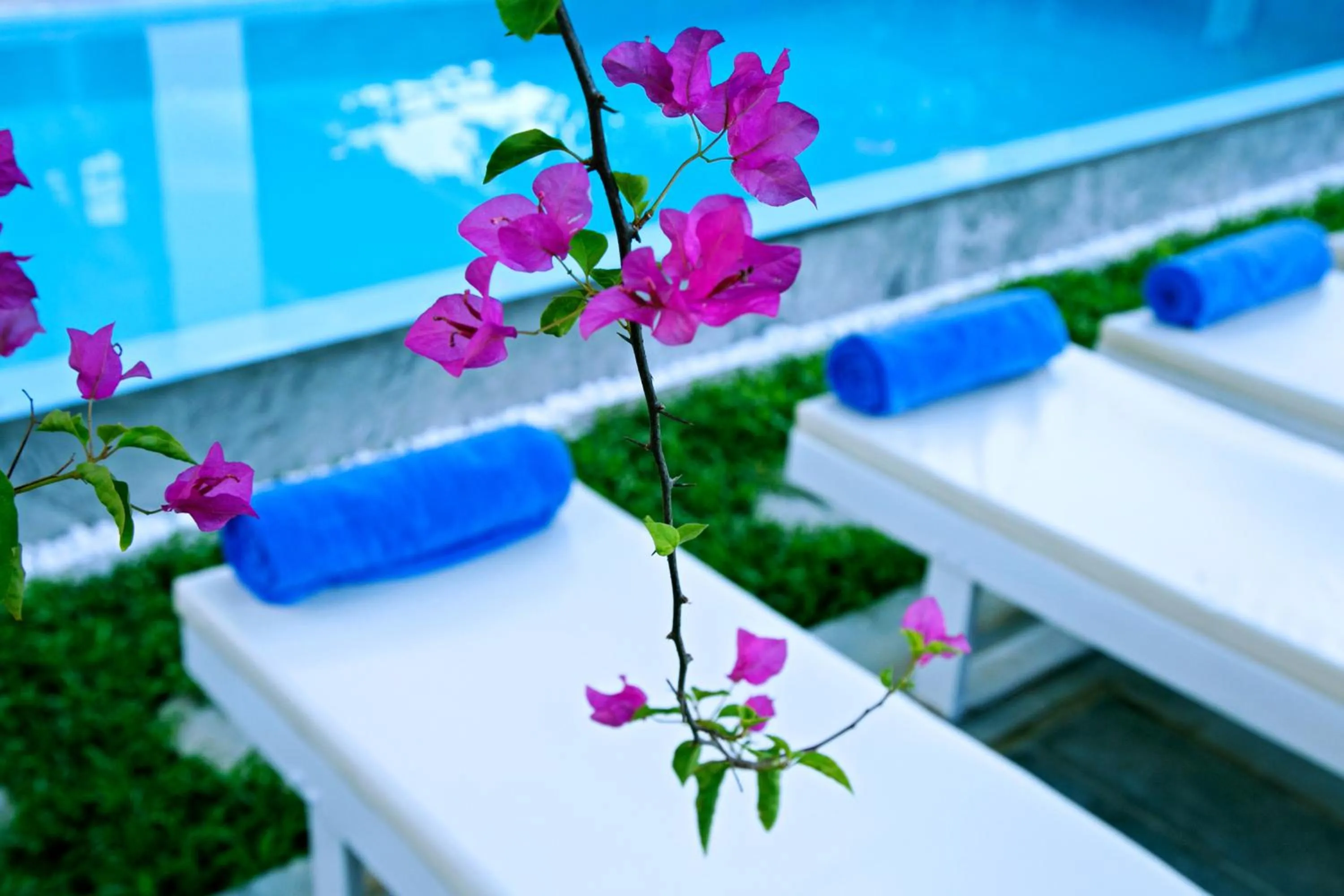 Property building in Zen Hoian Villa