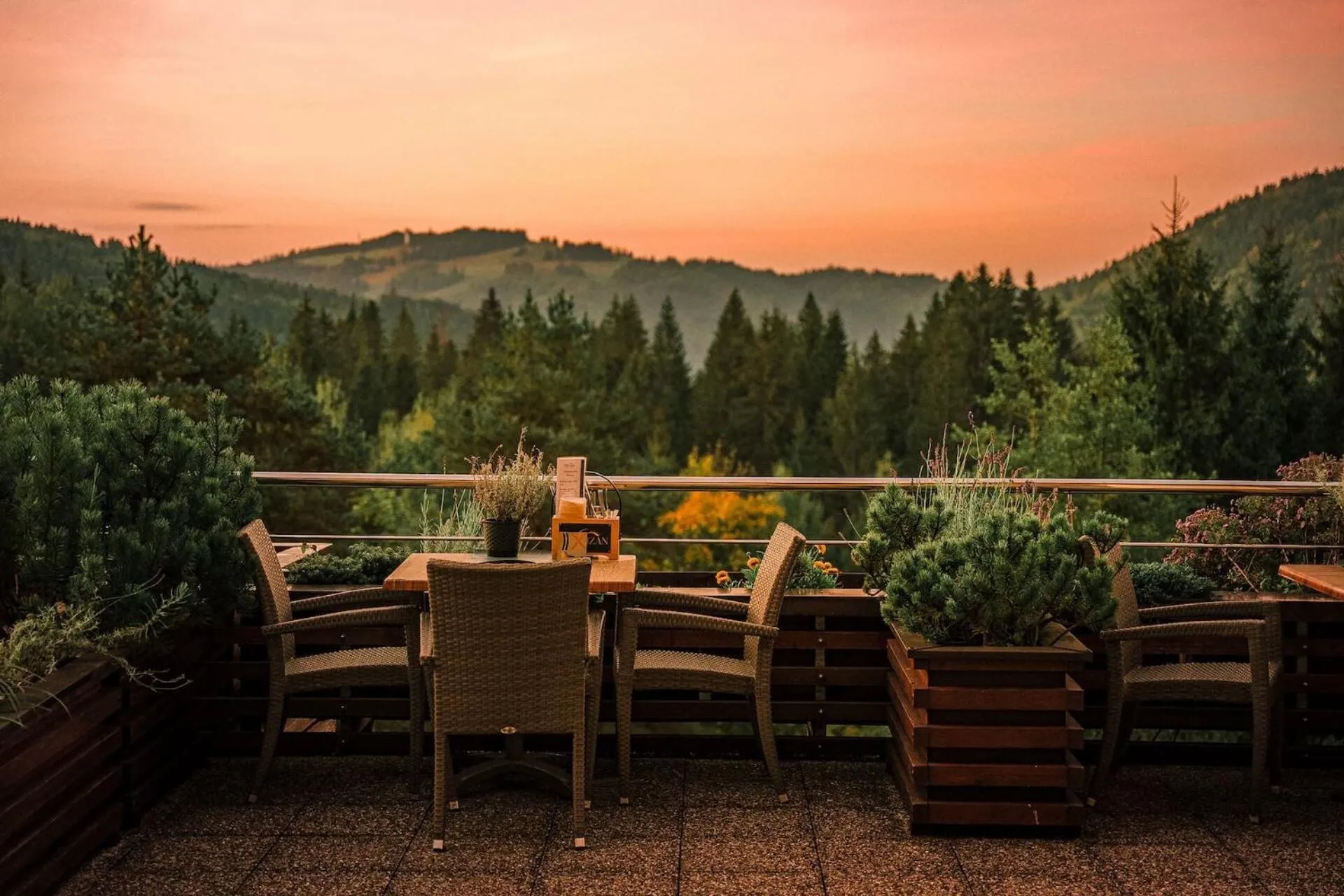 Garden view in Hotel Partizán