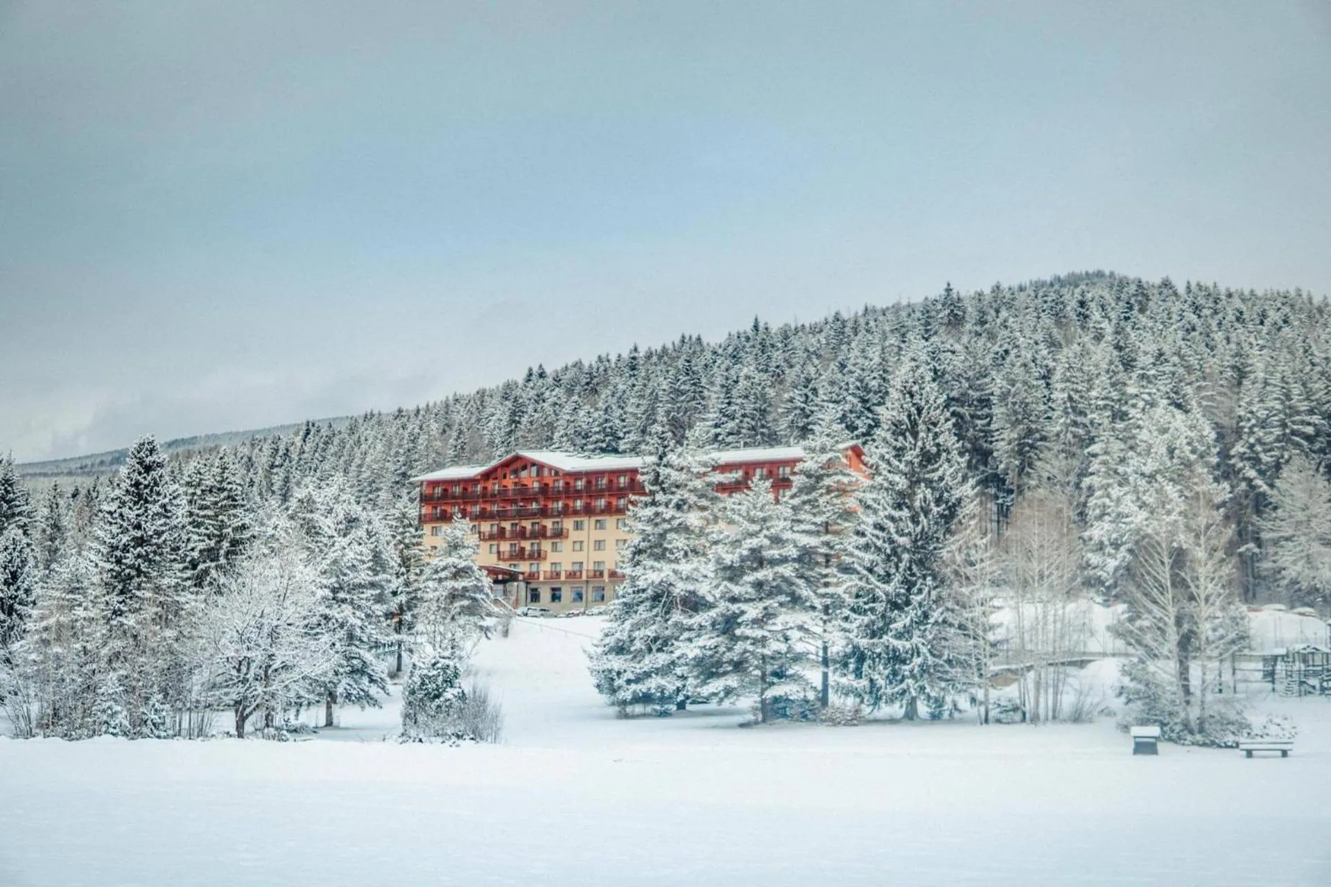 Property building in Hotel Partizán