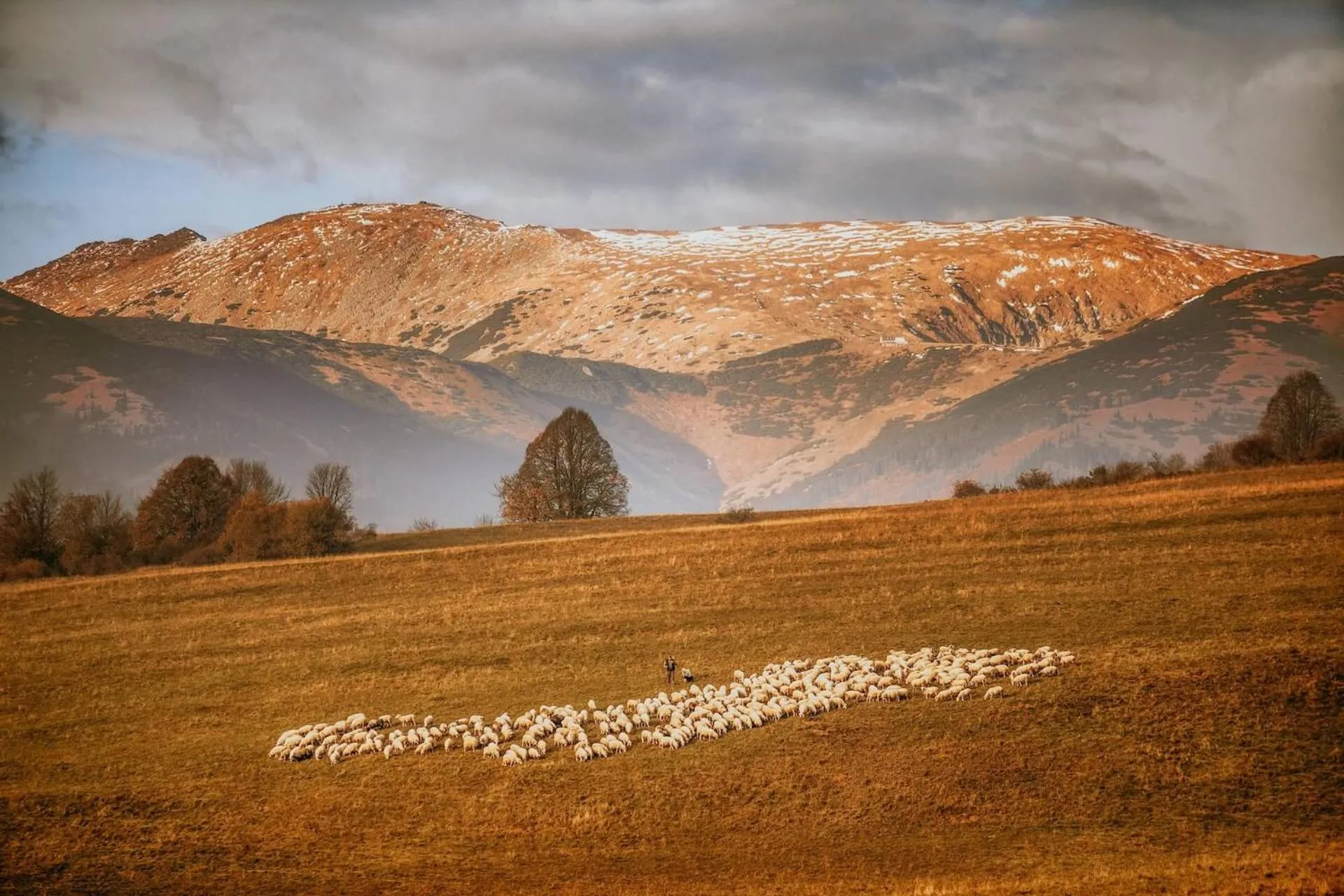 Natural landscape in Hotel Partizán