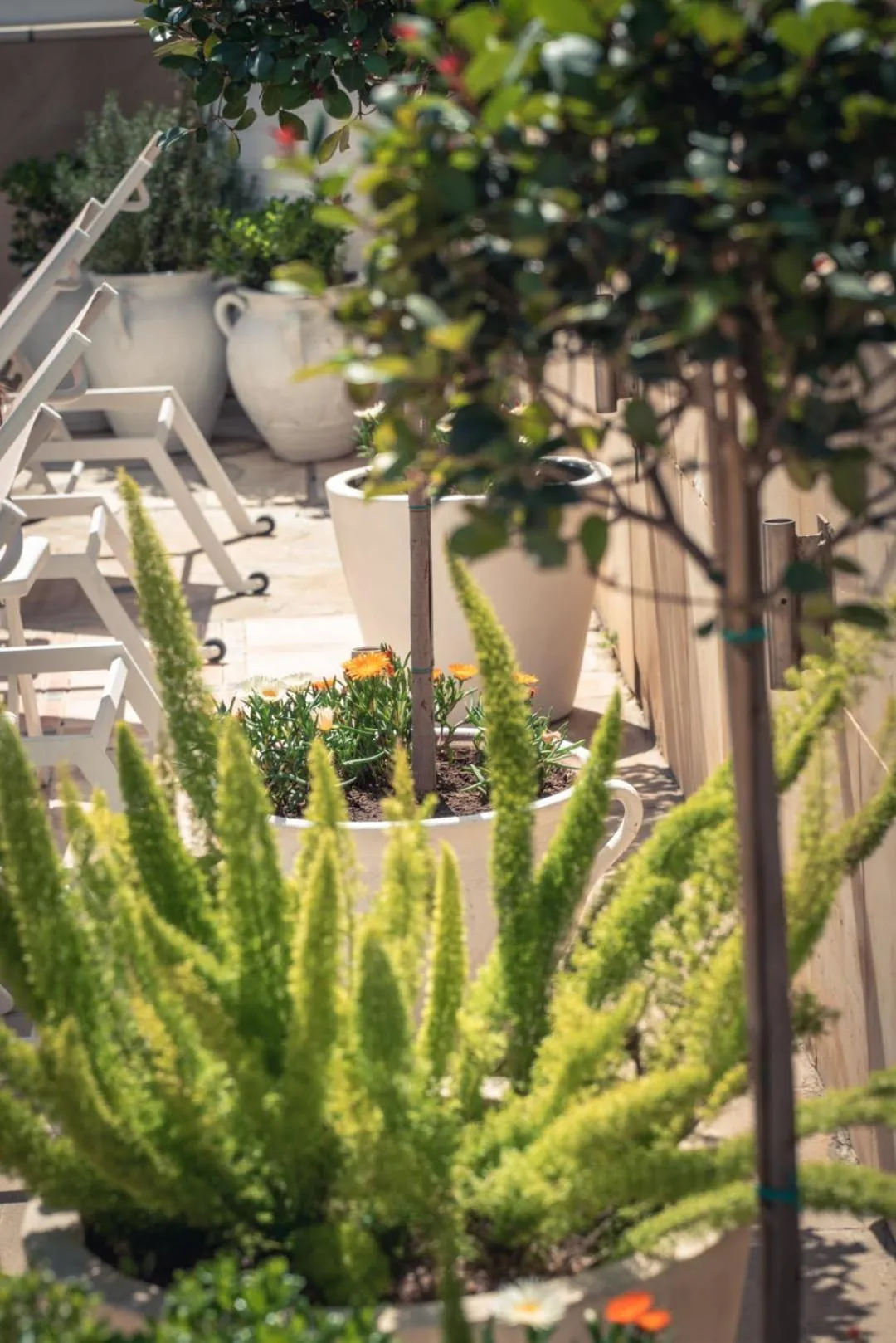 Garden in Chrielka Hotel