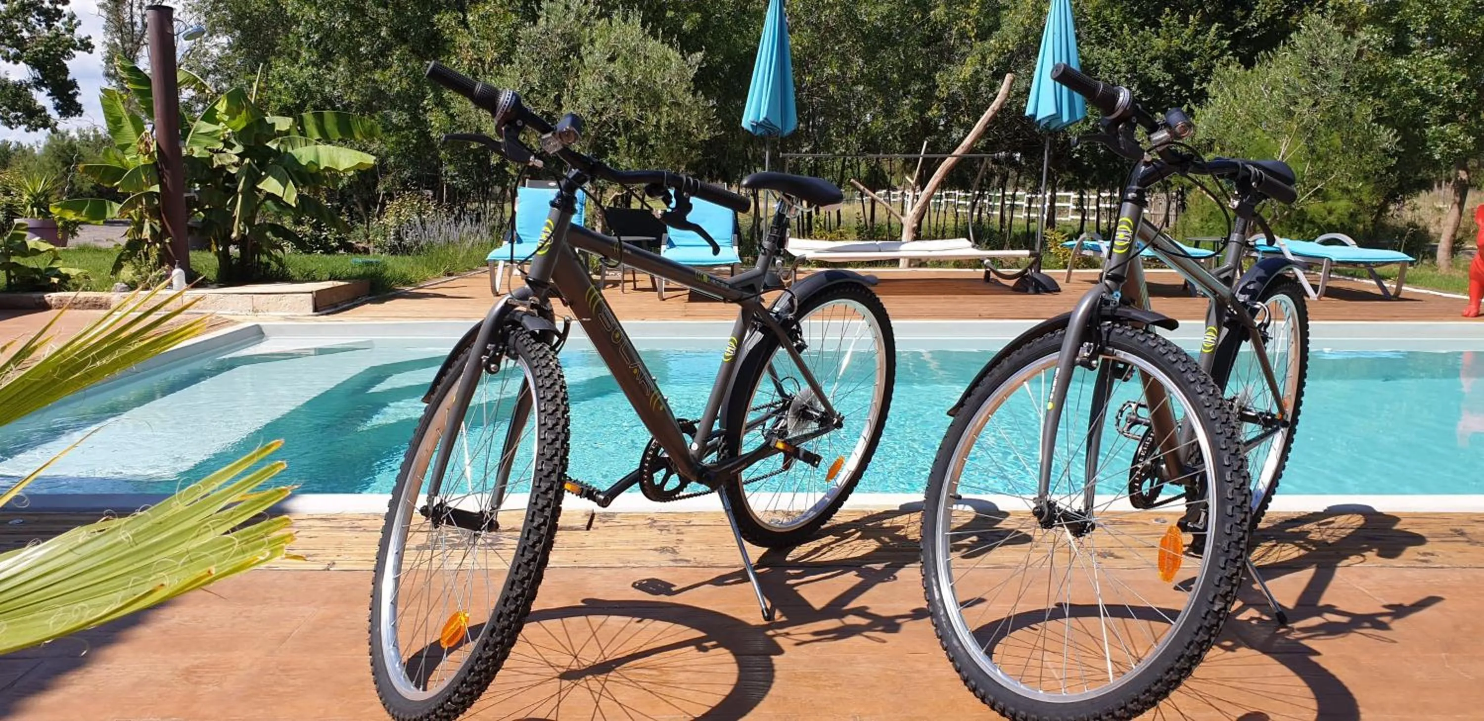 Cycling in Villa Alyzea