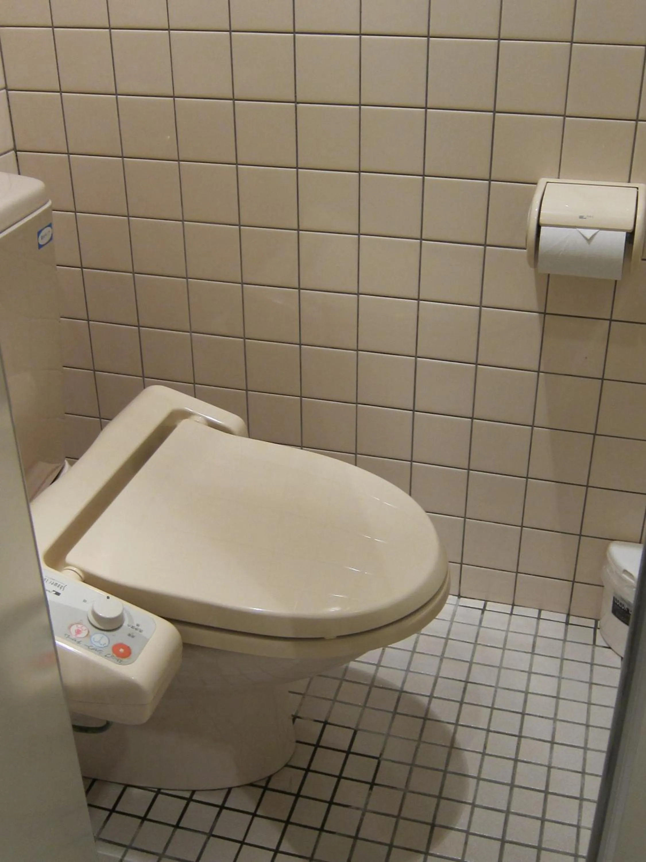 Toilet in Fujiya Ryokan